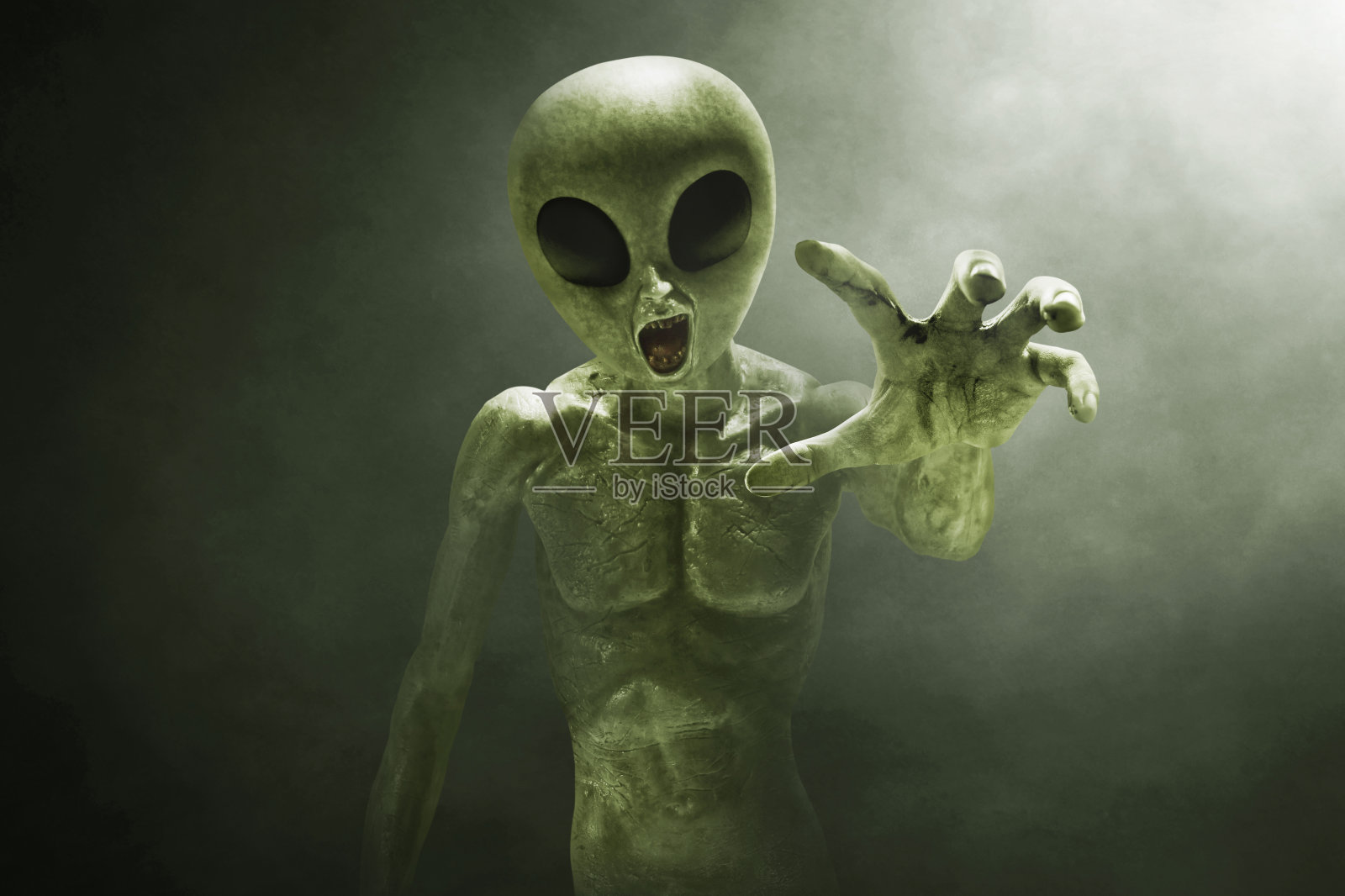 黑色背景上的外星生物照片摄影图片