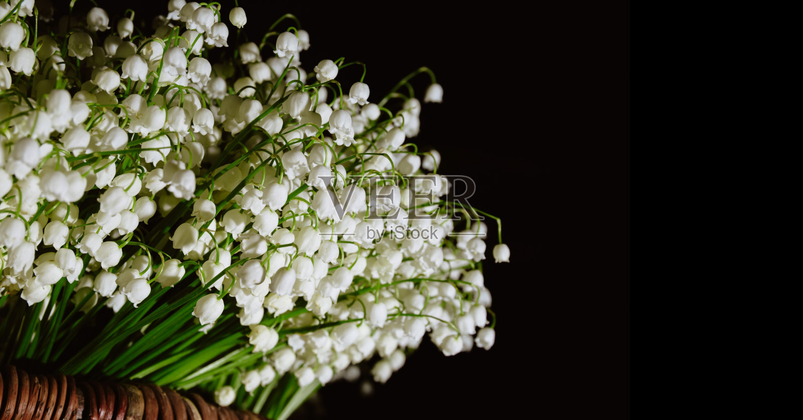 白色铃兰花束花店商务banner照片摄影图片