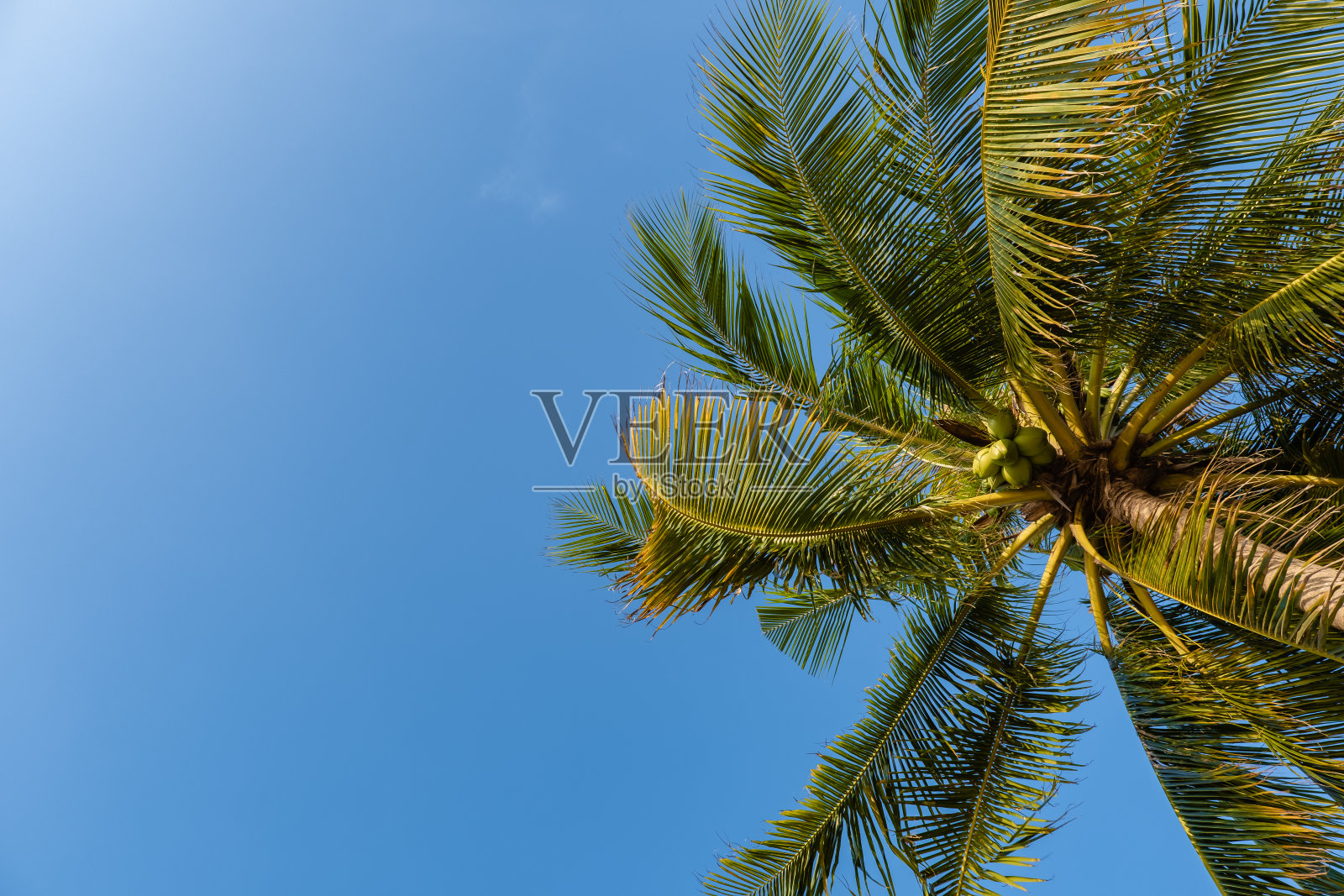 热带棕榈树与太阳光线在日落天空和云抽象背景照片摄影图片