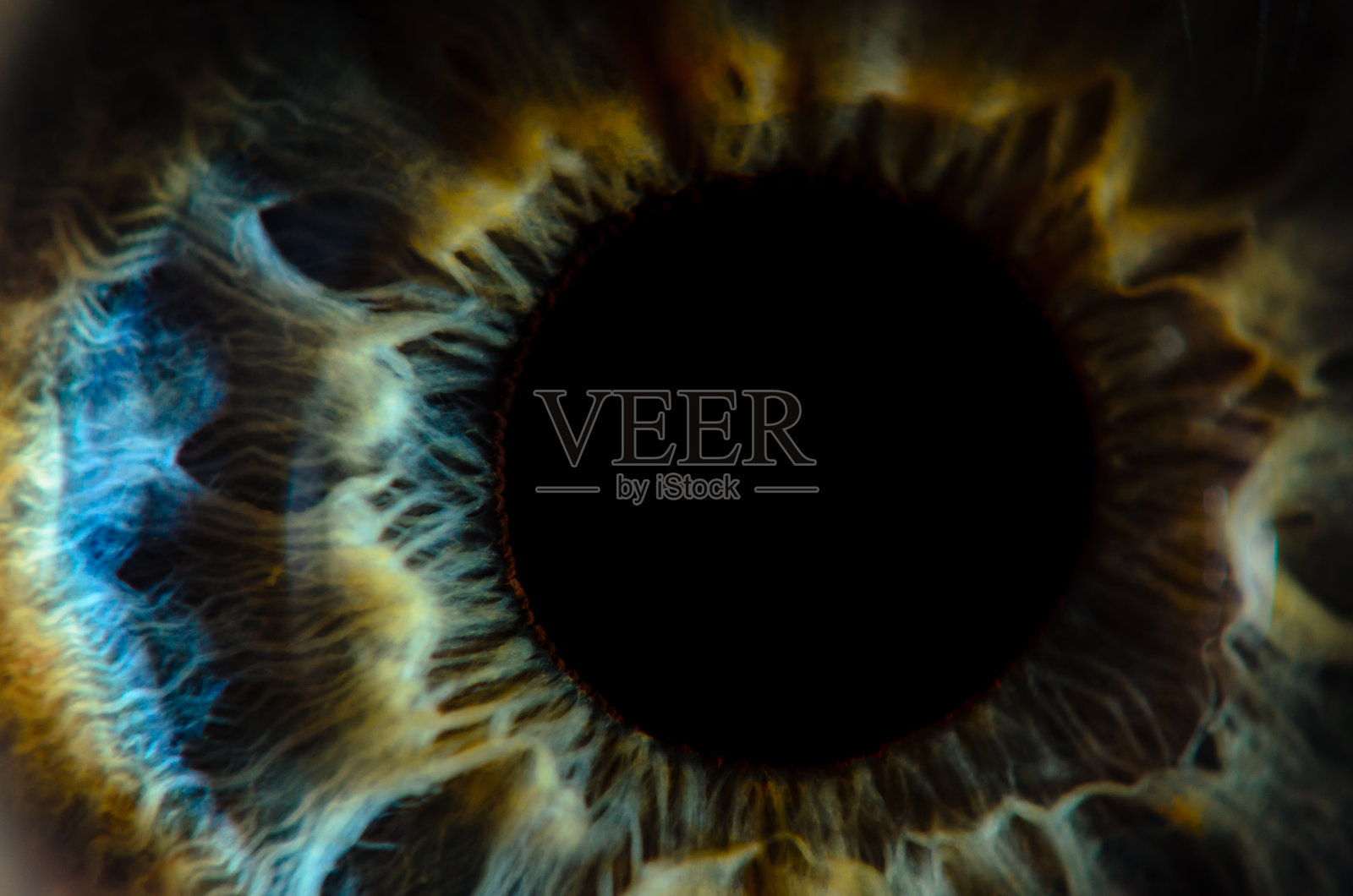 非常近距离的肉眼微距照片。人眼特写细节浅景深照片摄影图片