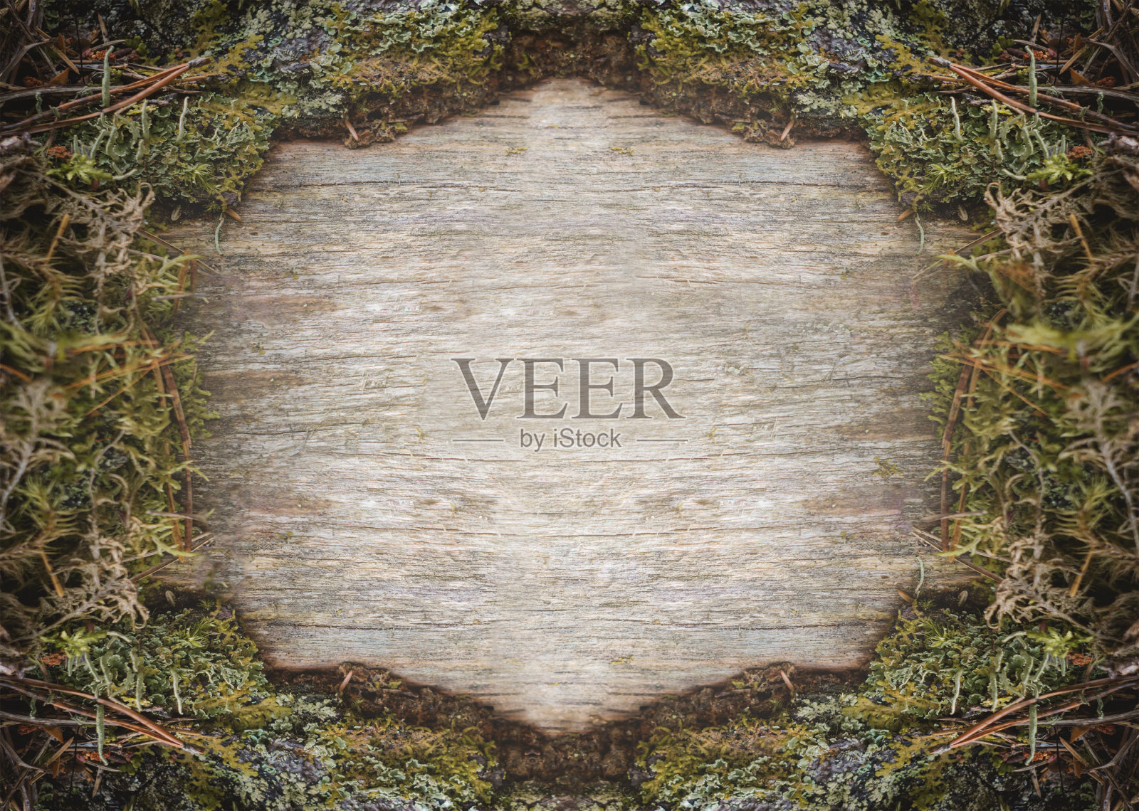 自然木制背景与苔藓和地衣。空格以插入文本照片摄影图片