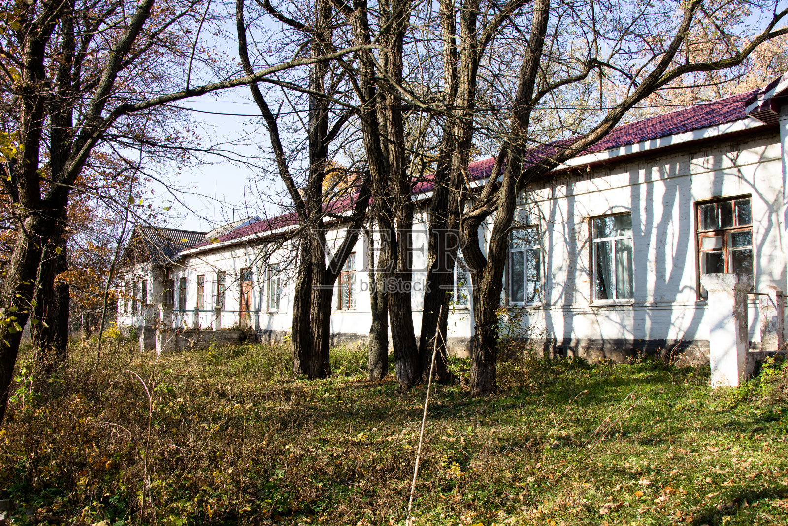 乌克兰农村一所医疗机构的新旧建筑照片摄影图片