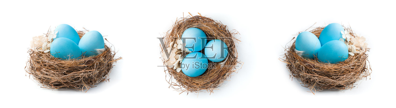 一组鸟巢与蓝色复活节蛋在不同的角度孤立在白色的背景上照片摄影图片