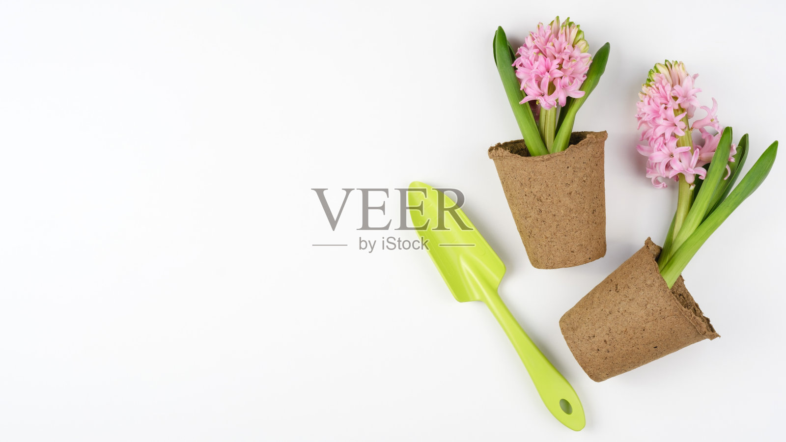 一套与白色背景上的植物花园配件。俯视图，复制空间。照片摄影图片