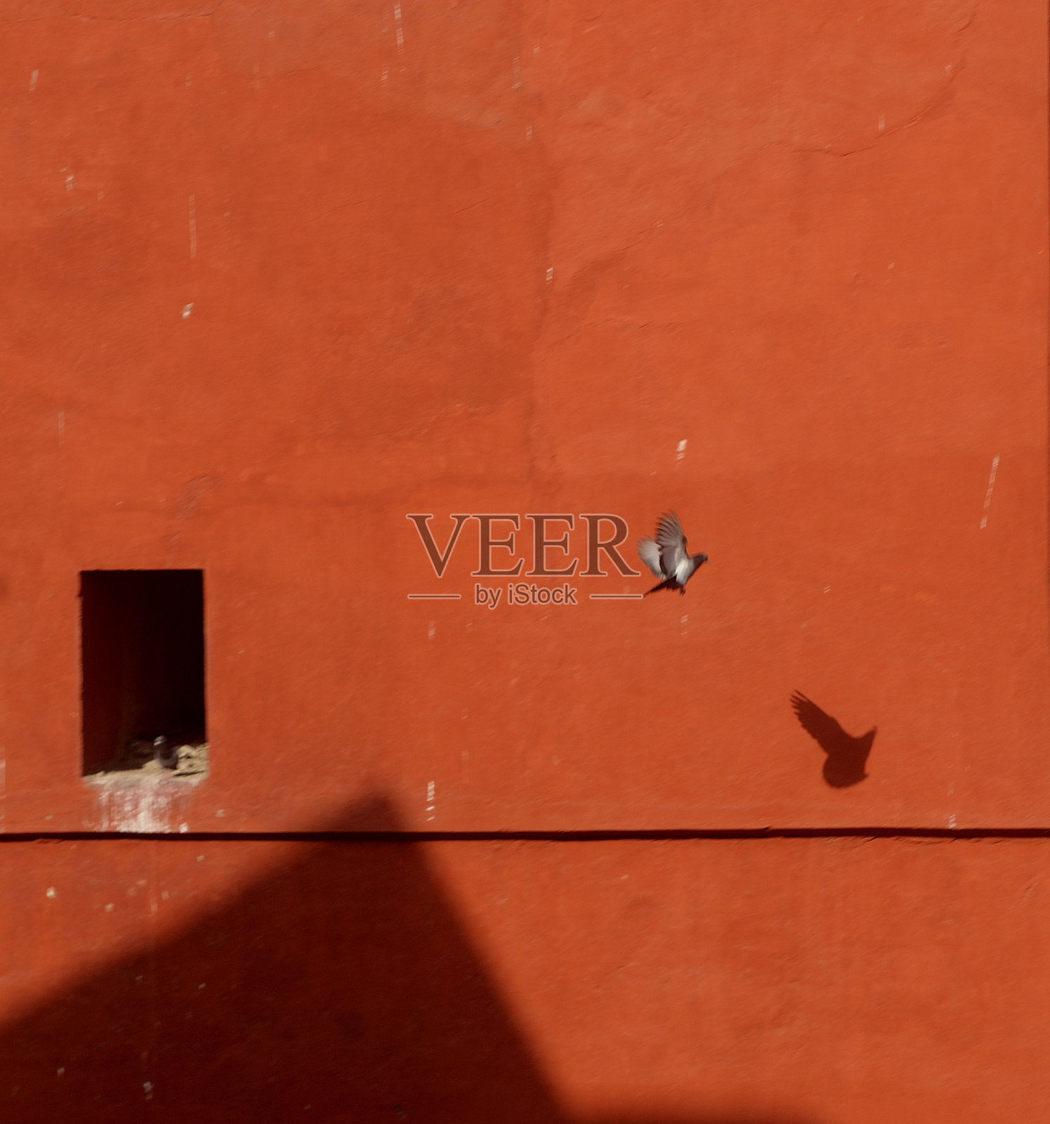 模式照片摄影图片