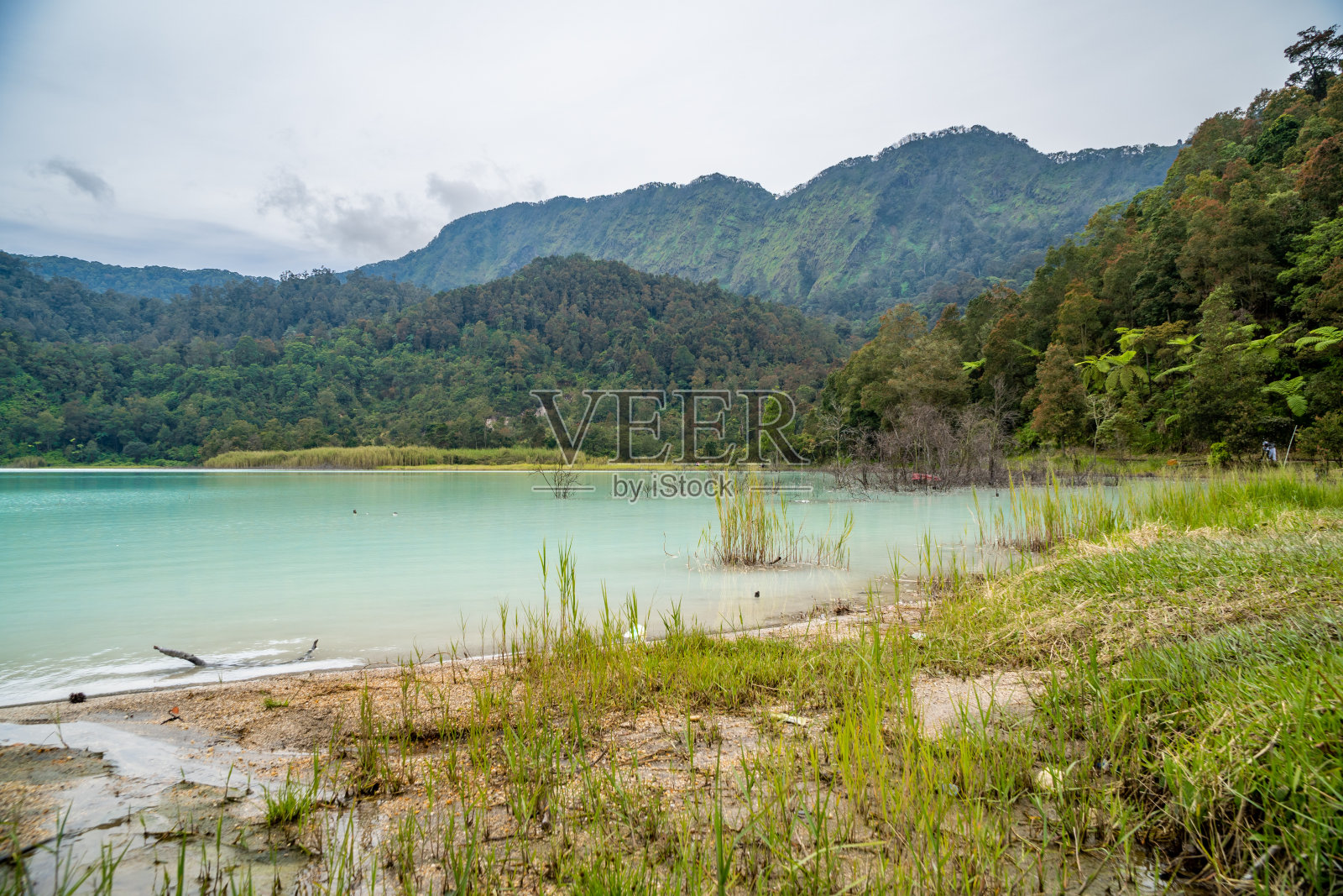印度尼西亚加鲁特旅游区博达斯湖的自然风光照片摄影图片