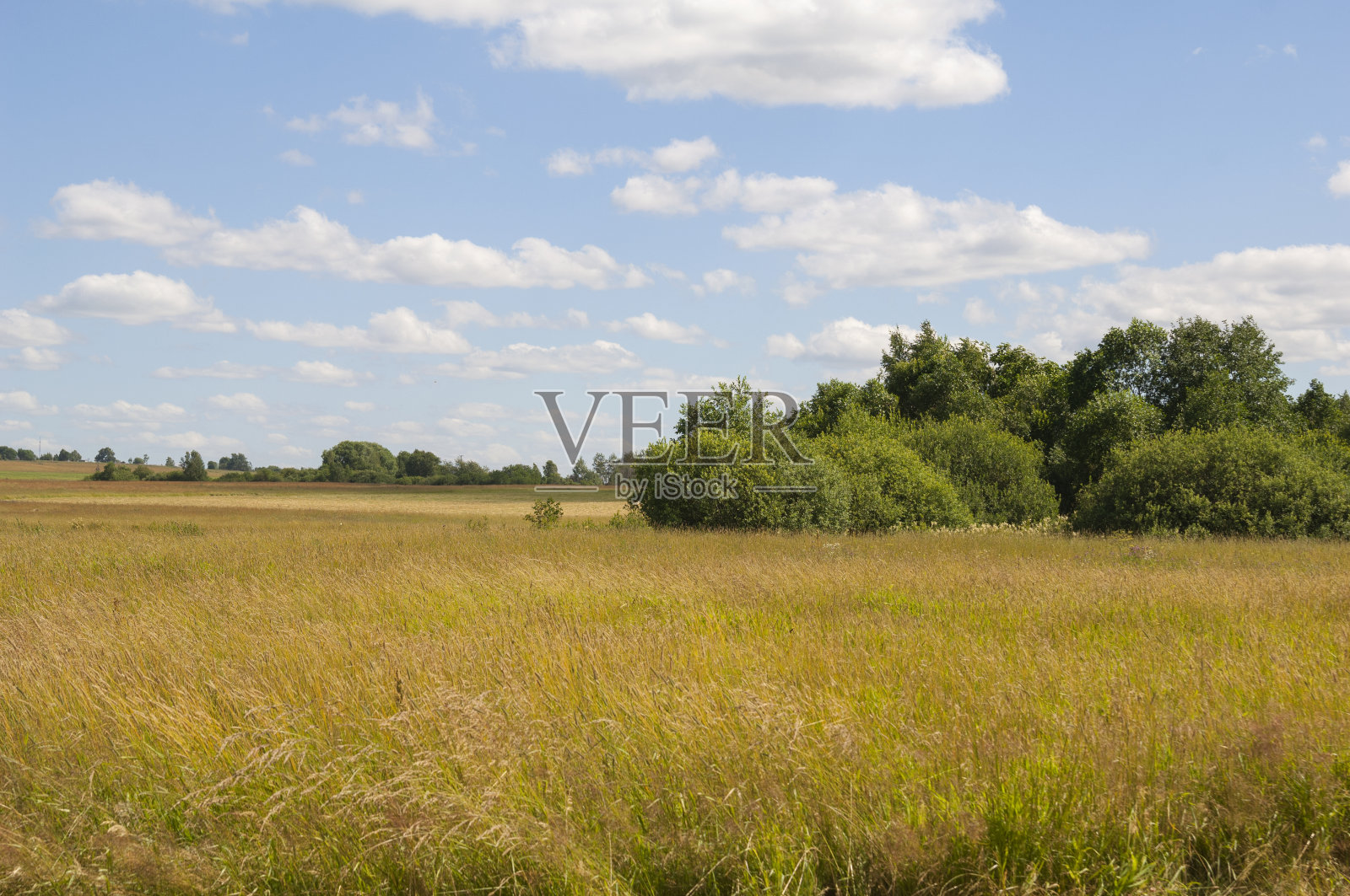 夏天的风景。照片摄影图片