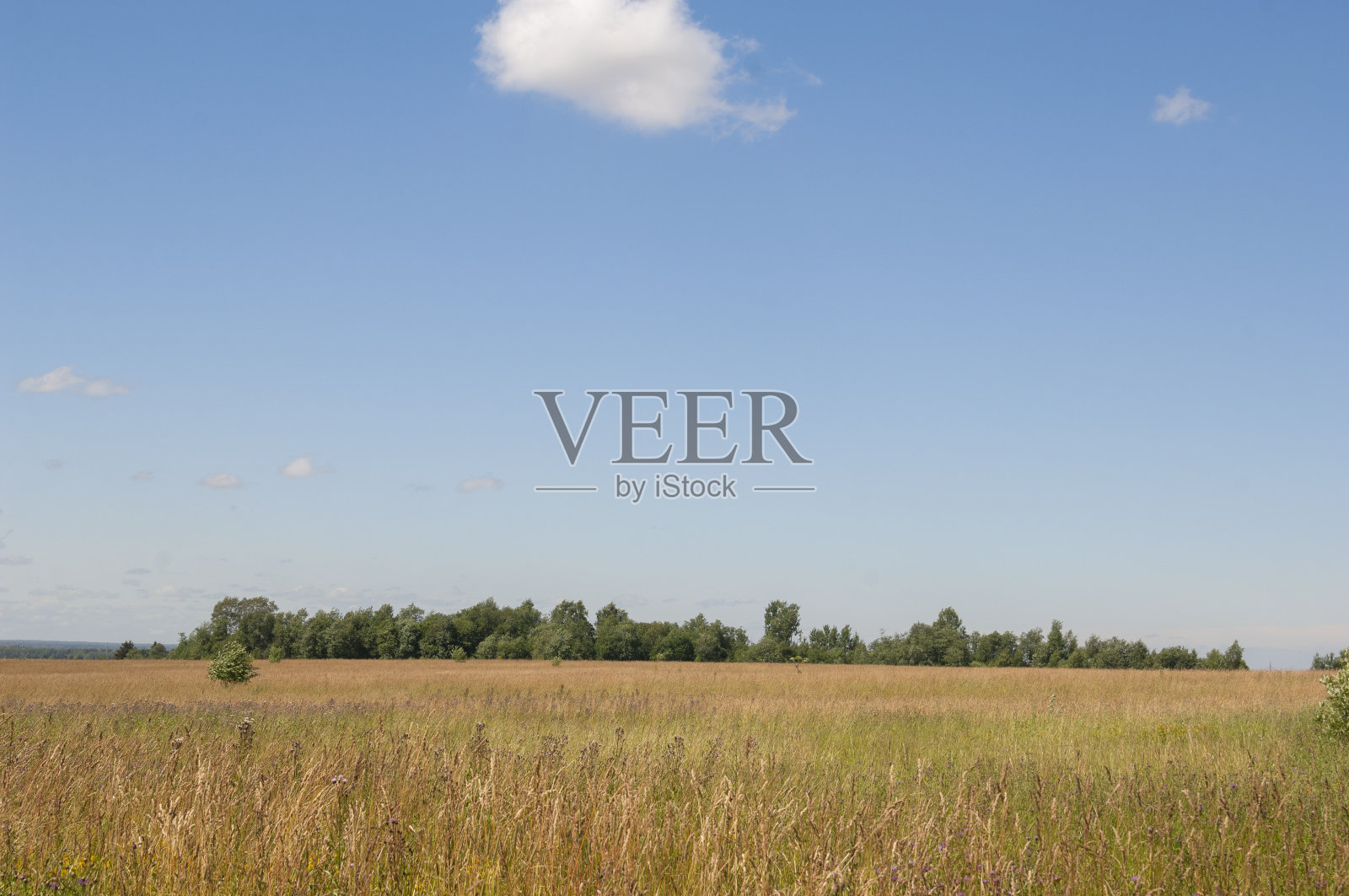 夏天的风景。照片摄影图片