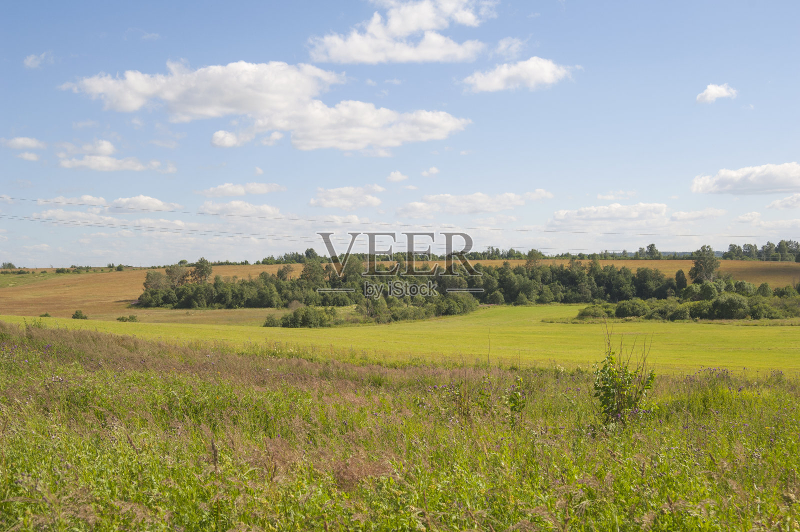 夏天的风景。照片摄影图片