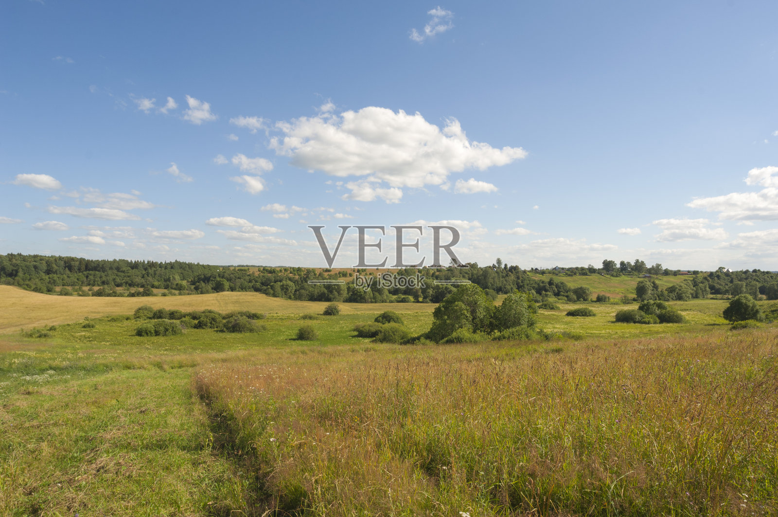 夏天的风景。照片摄影图片
