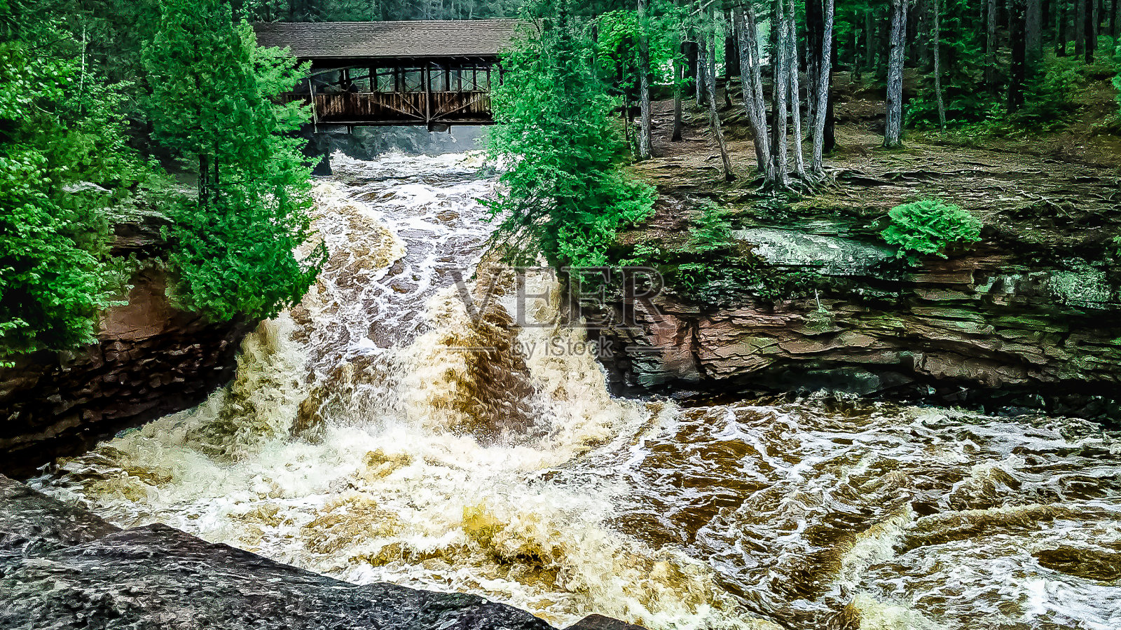 大水从桥下流过，流进桥下的水池里。照片摄影图片