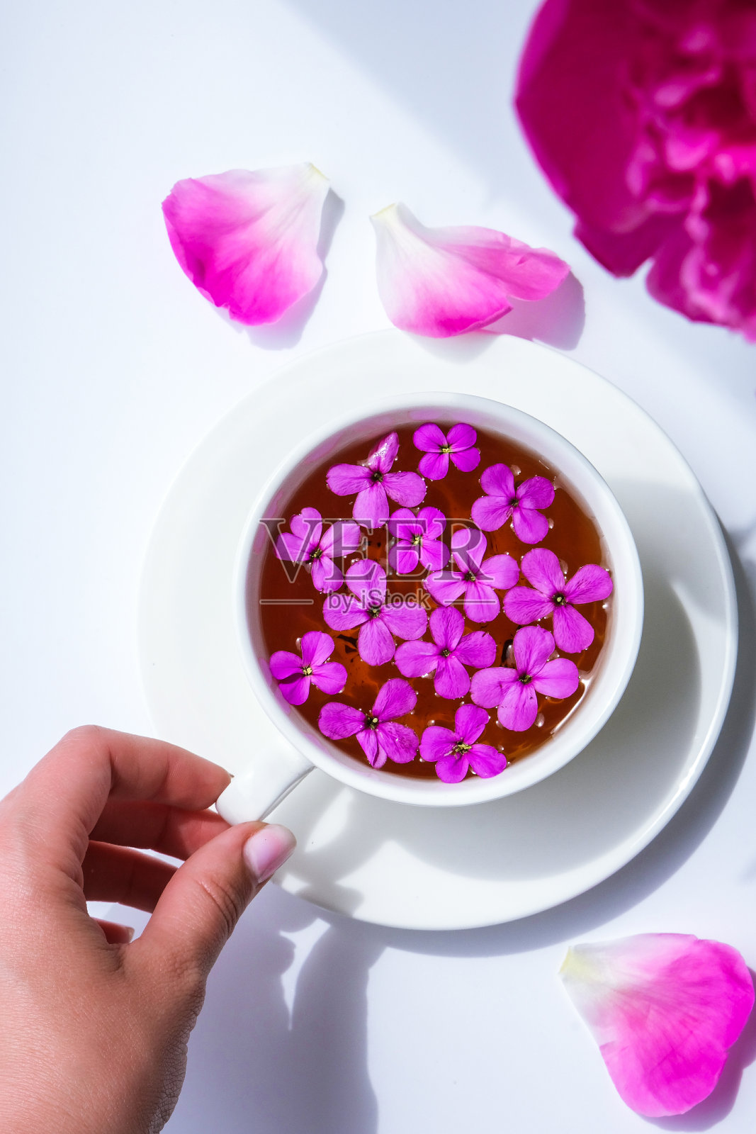 创意布局与粉红色牡丹花。女性的手握着一杯茶在明亮的桌子上。春天情人节，女人，母亲，3月8日节日，浪漫早餐。时尚博主。贺卡照片摄影图片