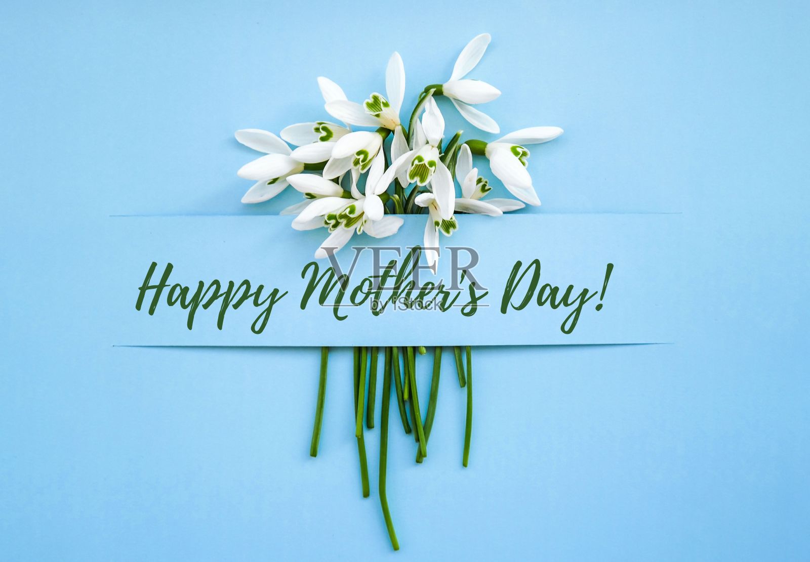 祝母亲节快乐。春天花雪花莲。史上最棒的妈妈。美丽温柔的花束。节日的概念照片摄影图片