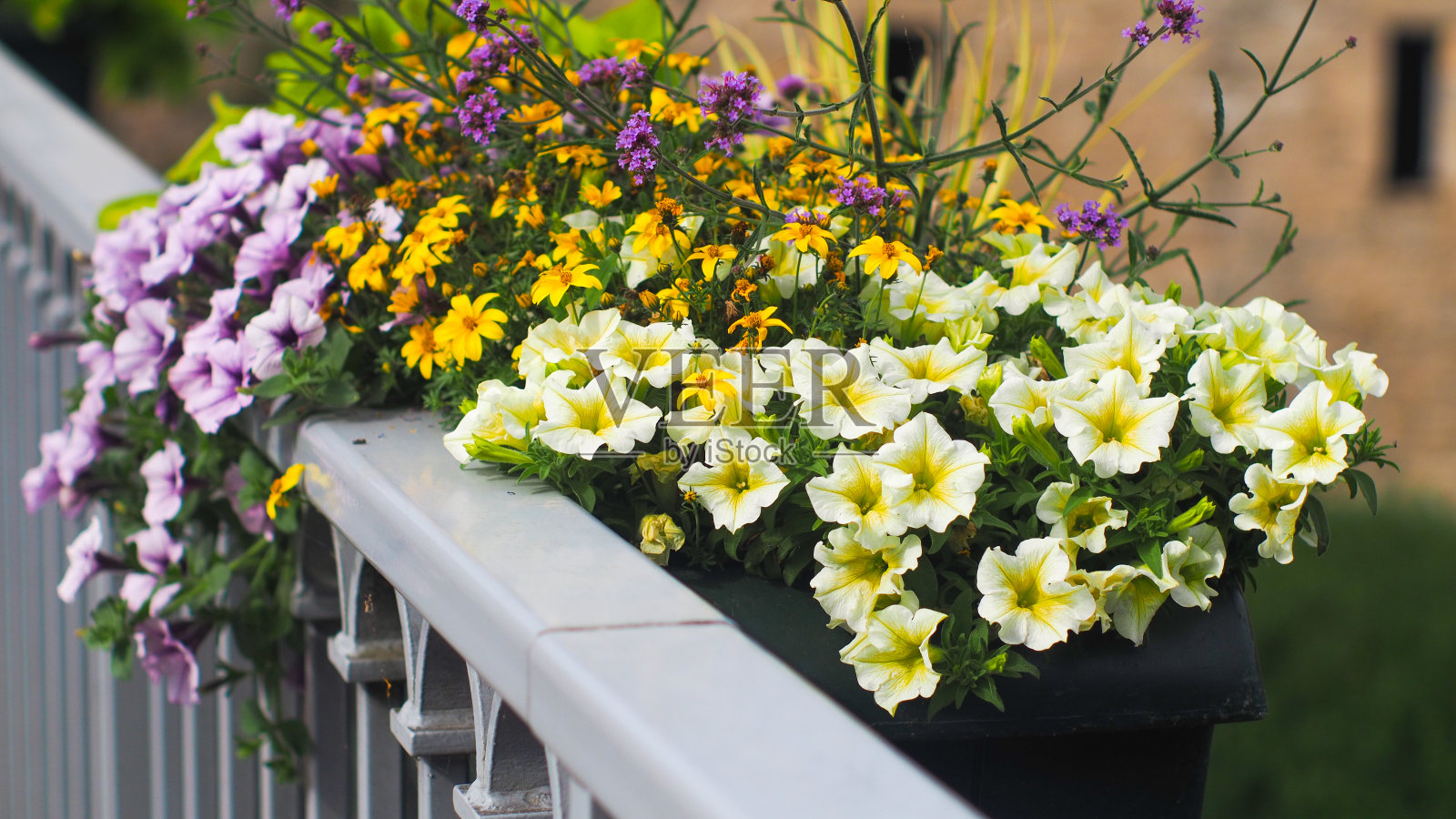 桥上挂着鲜花照片摄影图片