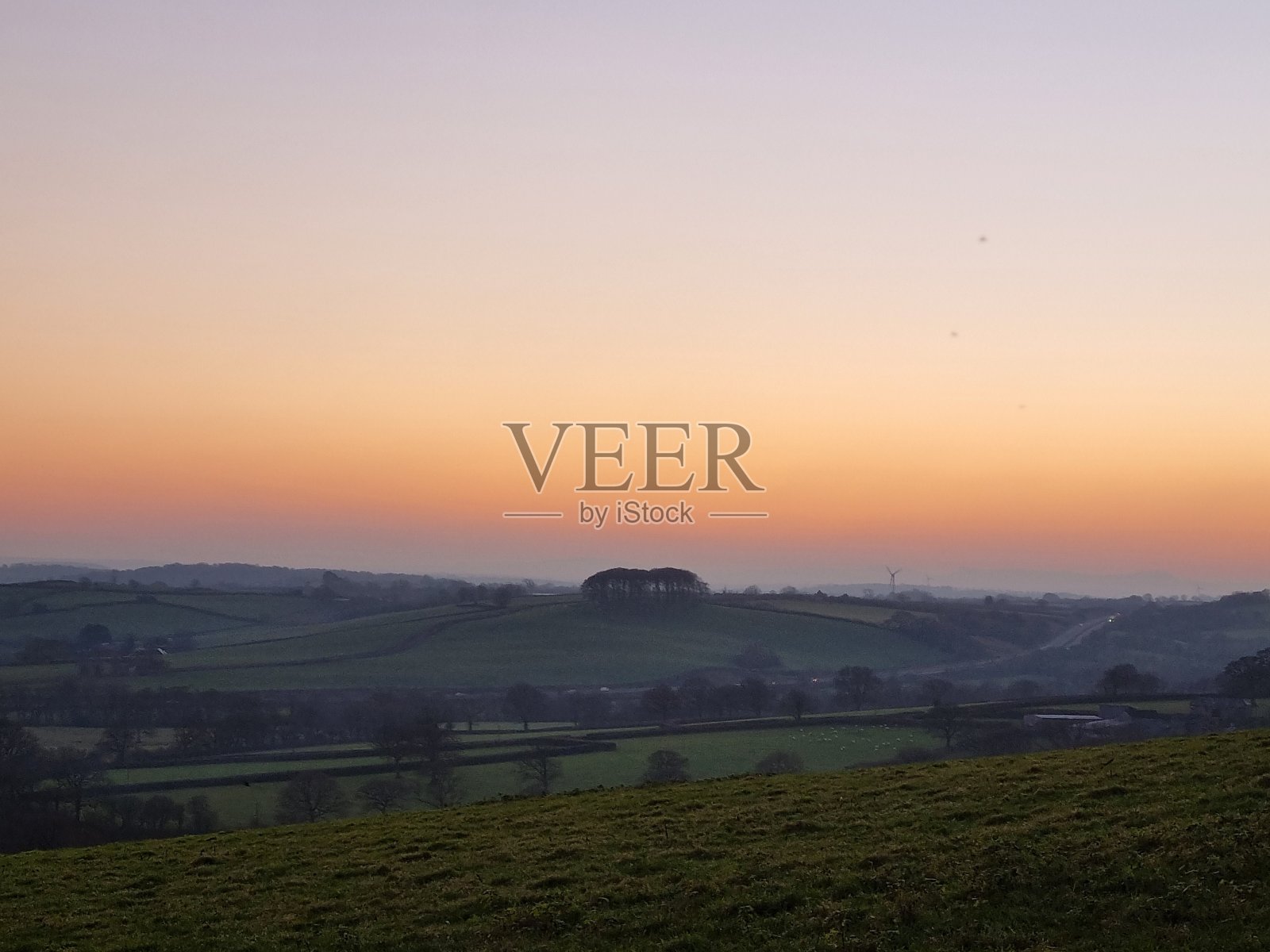 近有树照片摄影图片