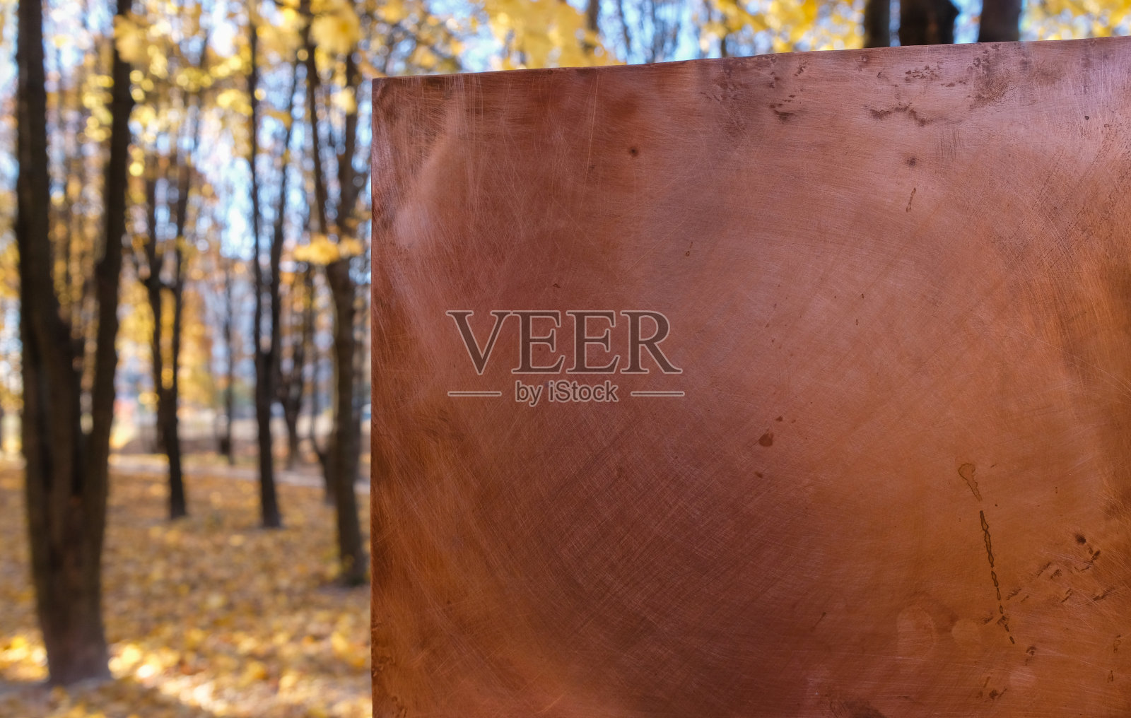 空铜板上的秋天公园背景。照片摄影图片