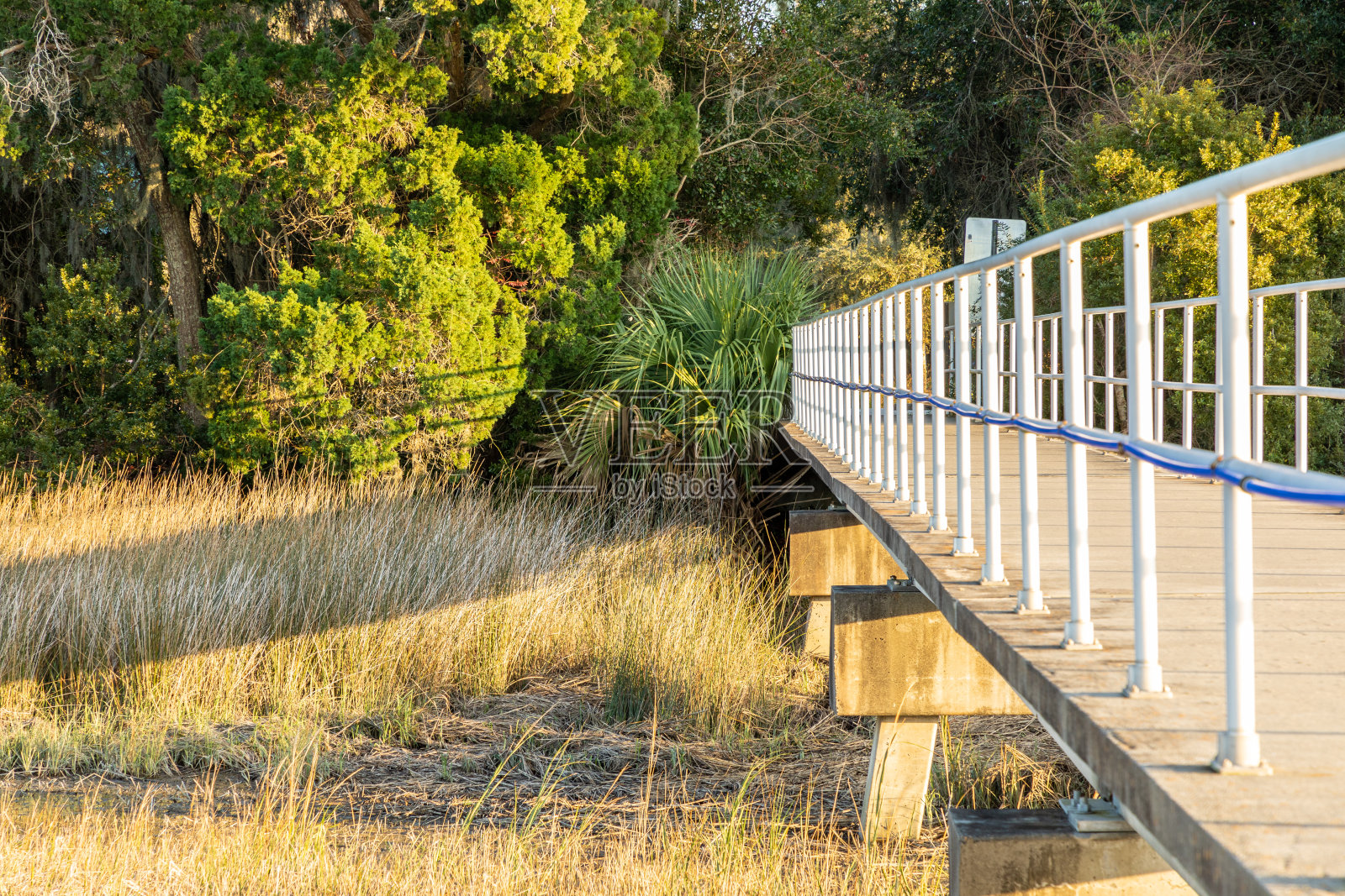 阳光钓鱼码头在海岸乔治亚公园照片摄影图片