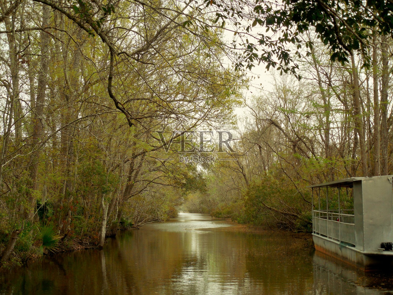 从河到河口照片摄影图片
