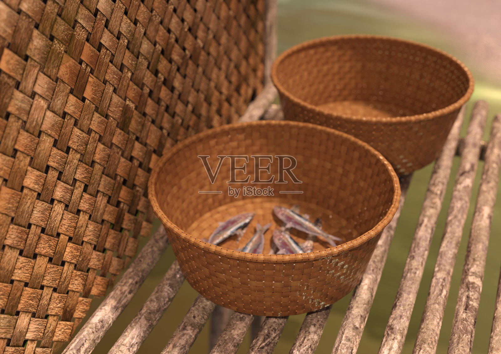 3D渲染鱼缸照片摄影图片