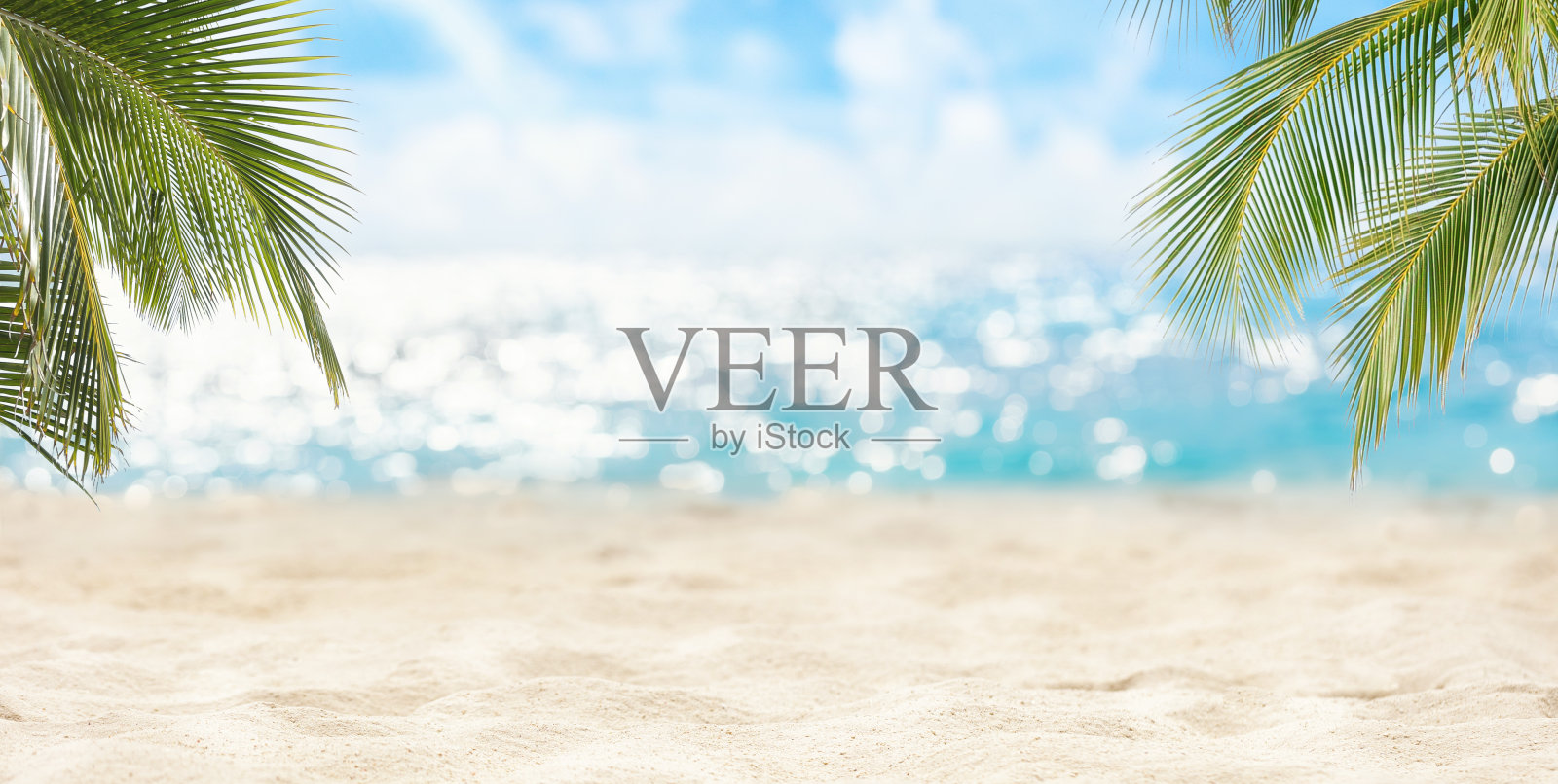 热带自然海景，棕榈树，夏日沙滩背景。模糊的散景阳光平静的大海。旅游度假全景概念照片摄影图片