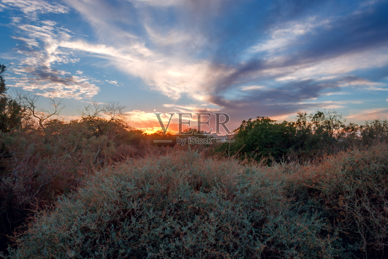 草地日落场景照片摄影图片