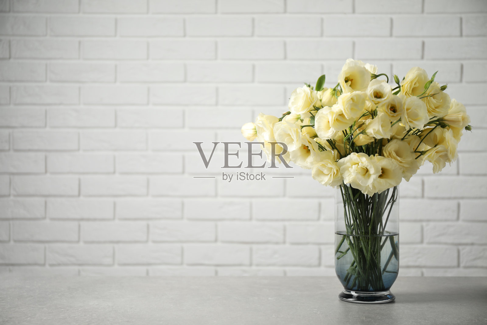 砖墙旁的桌子上，花瓶里摆着美丽的白色月桂花。空间的文本照片摄影图片