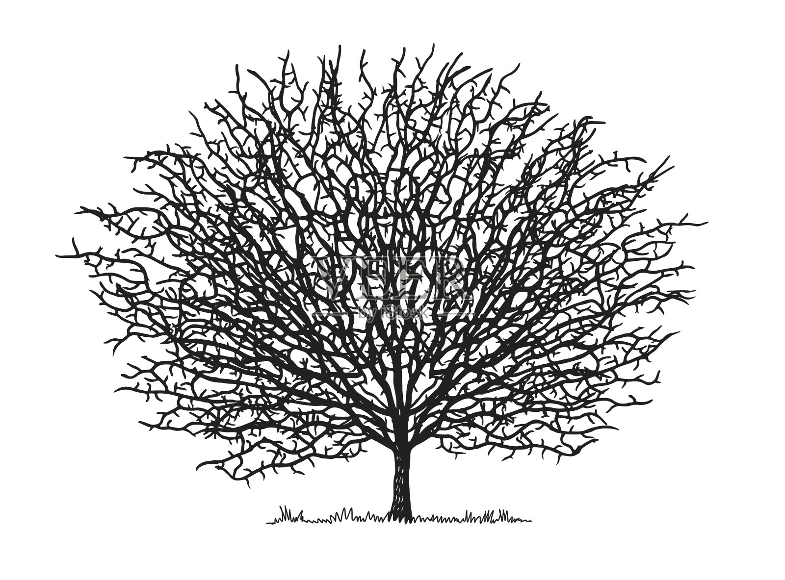 剪影圆形的树上挂着白色的树枝插画图片素材
