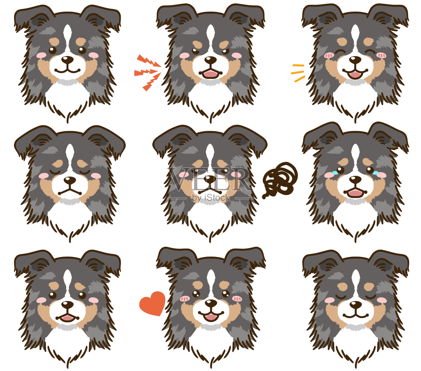 拥有多种面部表情的设得兰牧羊犬(蓝山鸟色)插画图片素材