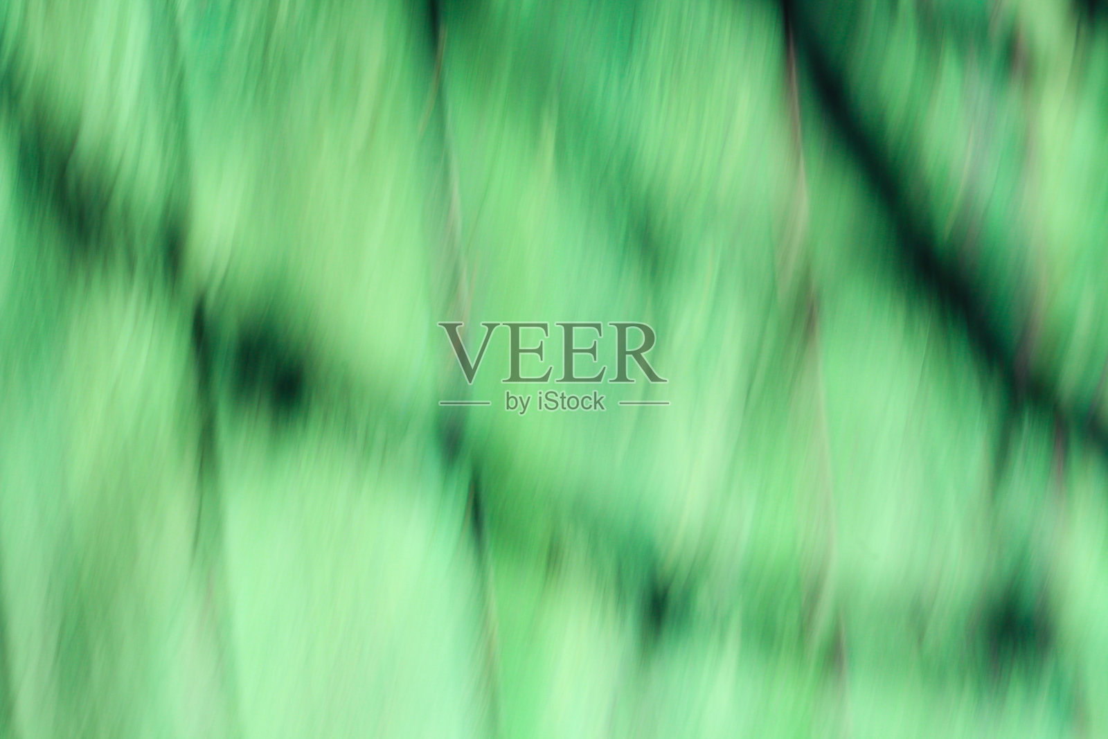 模糊效果绿色背景与树影剪影照片摄影图片