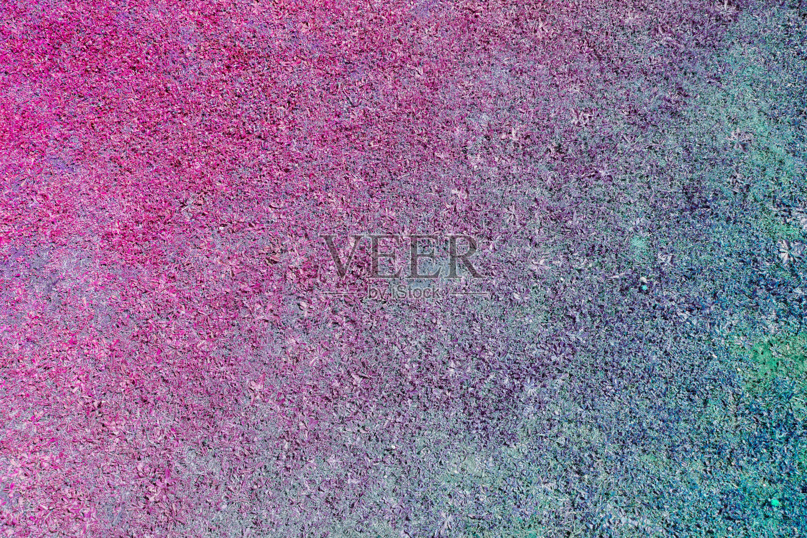 一种蓝色和粉红色的草纹理。幻想的背景。地面纹理照片摄影图片