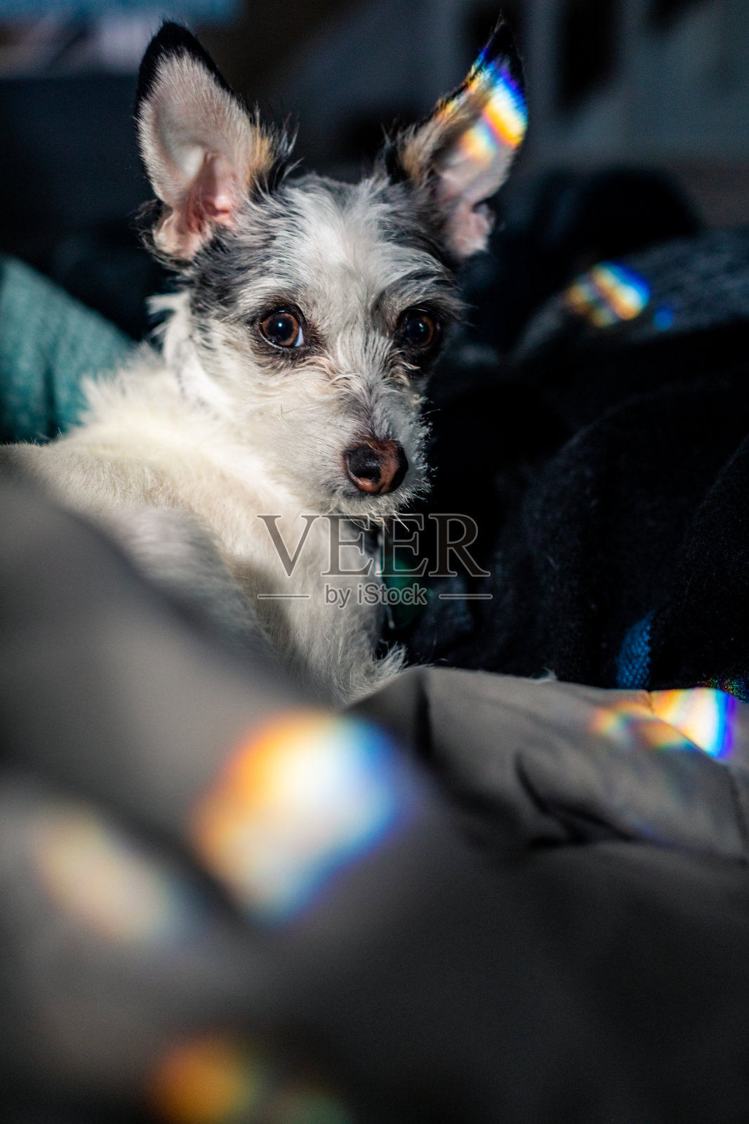 图珀洛和彩虹之光照片摄影图片