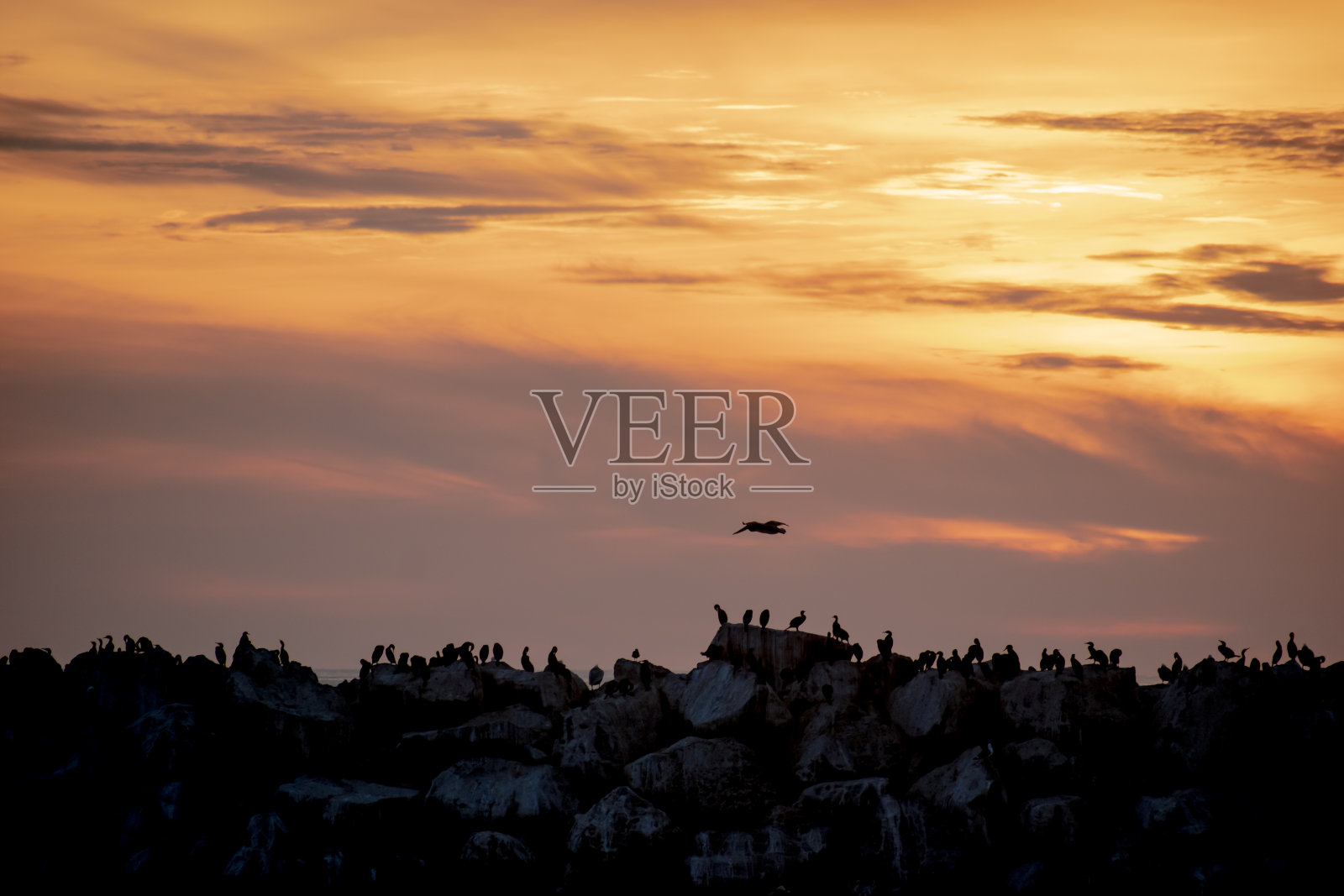 南加州水上的海滩夕阳照片摄影图片