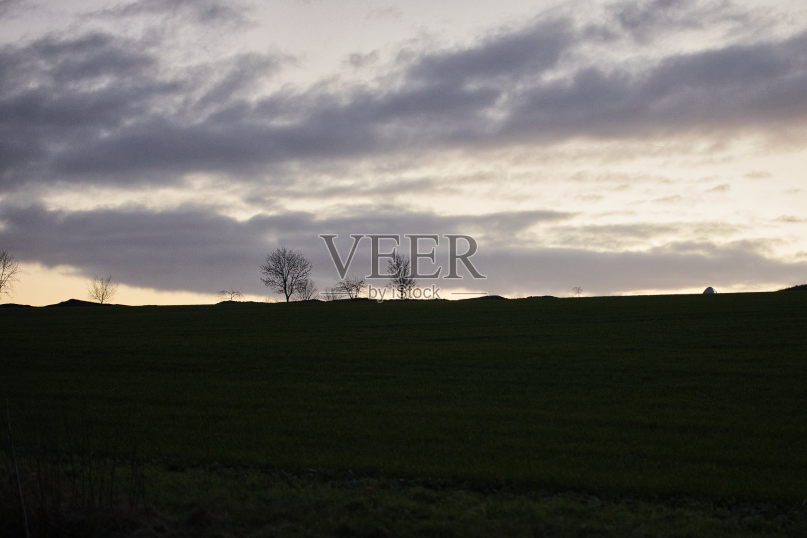 日落时地平线上的树木照片摄影图片