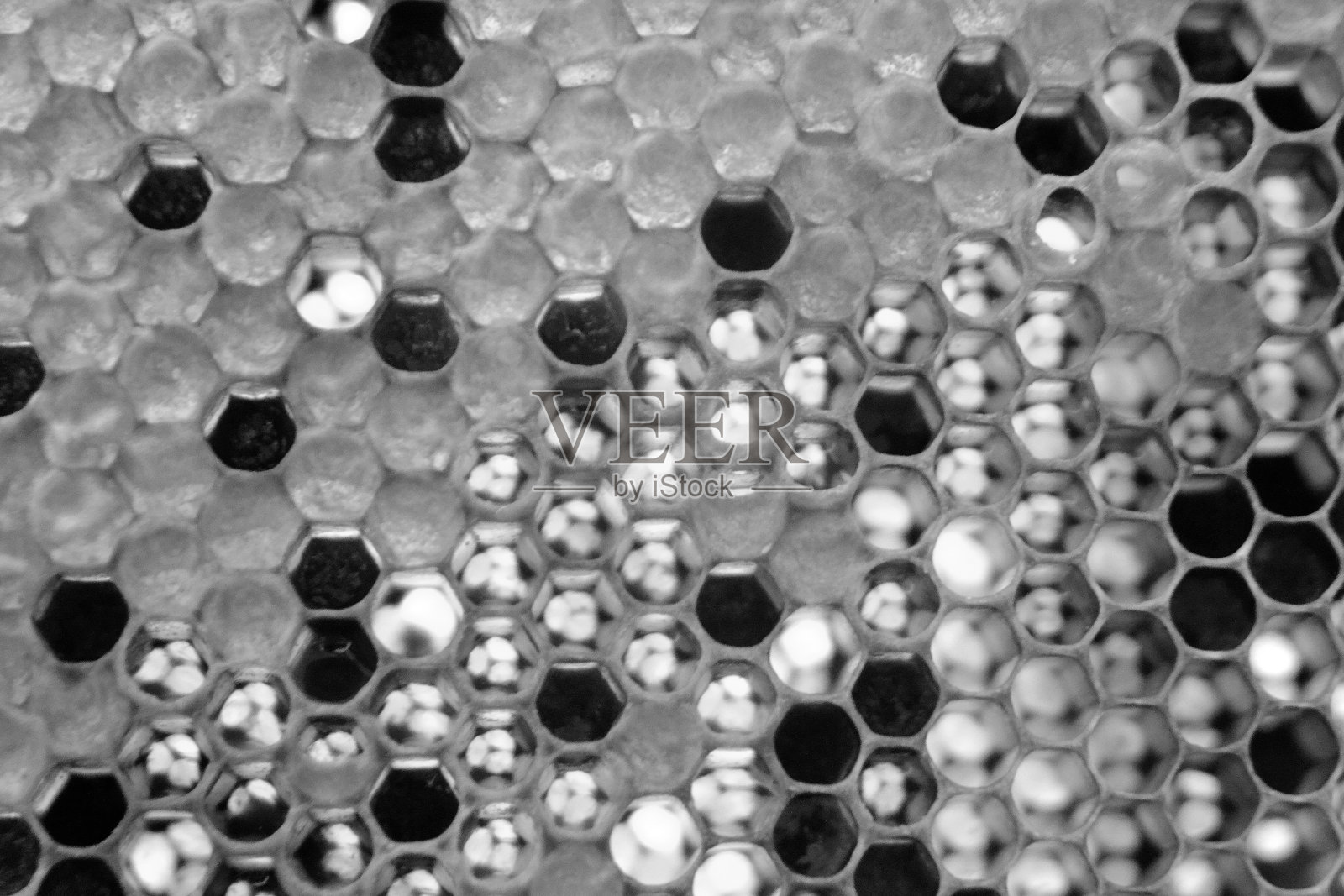 蜂窝照片摄影图片