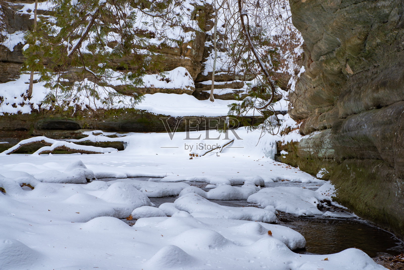 冬天的风景。照片摄影图片