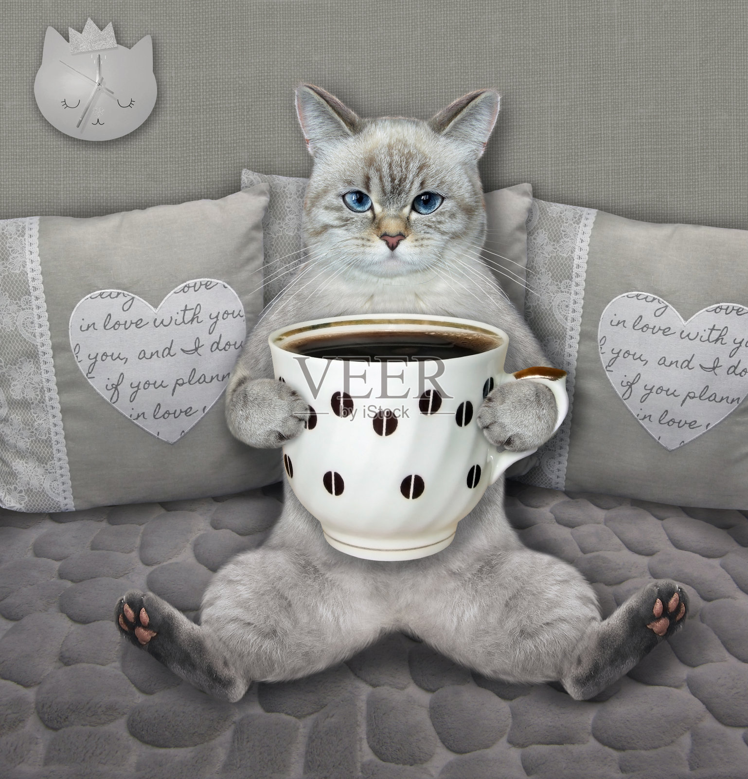 猫躺在床上喝咖啡，脸色发白照片摄影图片