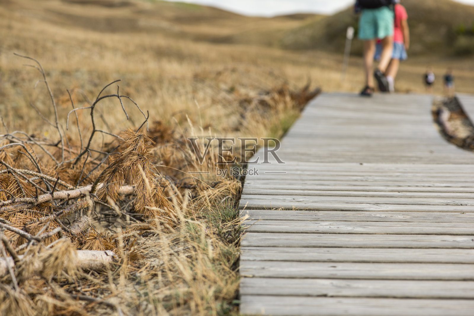山上的木路。木质地板。山中蜿蜒的栈道。成人和儿童沿着旅游路线在山上散步照片摄影图片