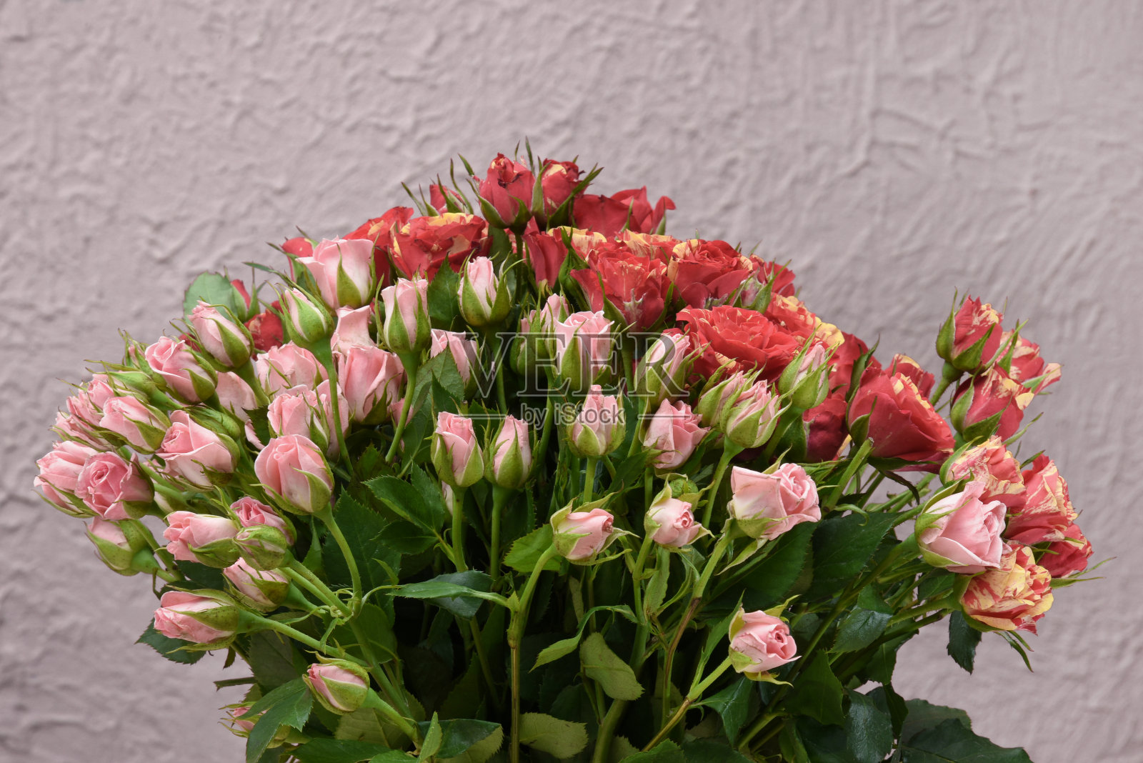 花照片摄影图片