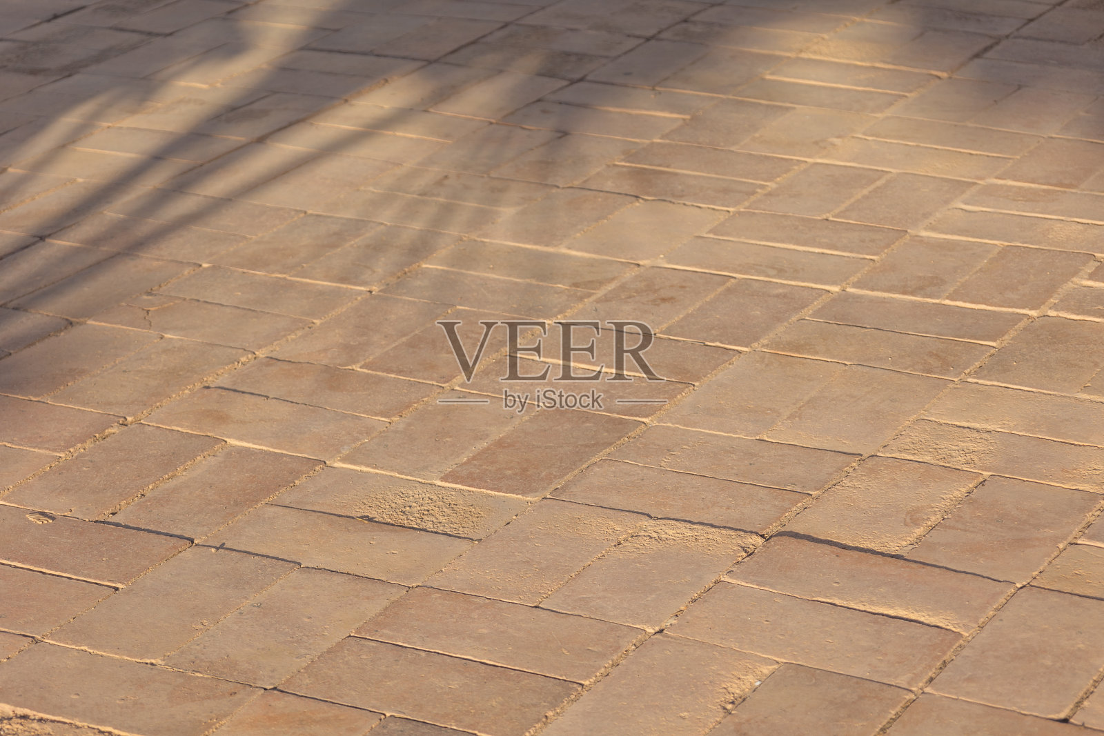 棕榈叶在石头地板上的影子。极简主义风格的抽象热带背景照片摄影图片