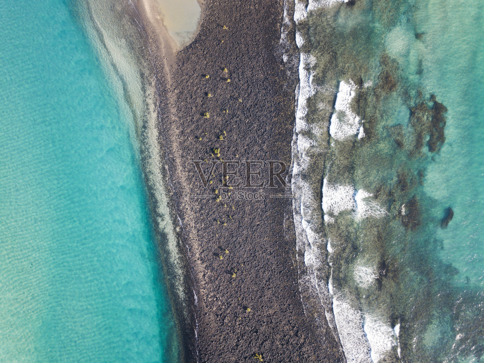 艾略特主管照片摄影图片