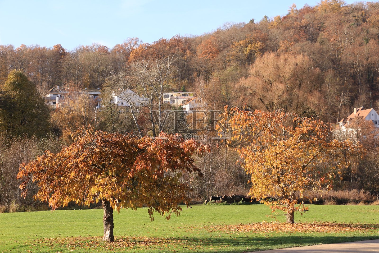 巴伐利亚州巴特吉辛根秋日阳光明媚照片摄影图片