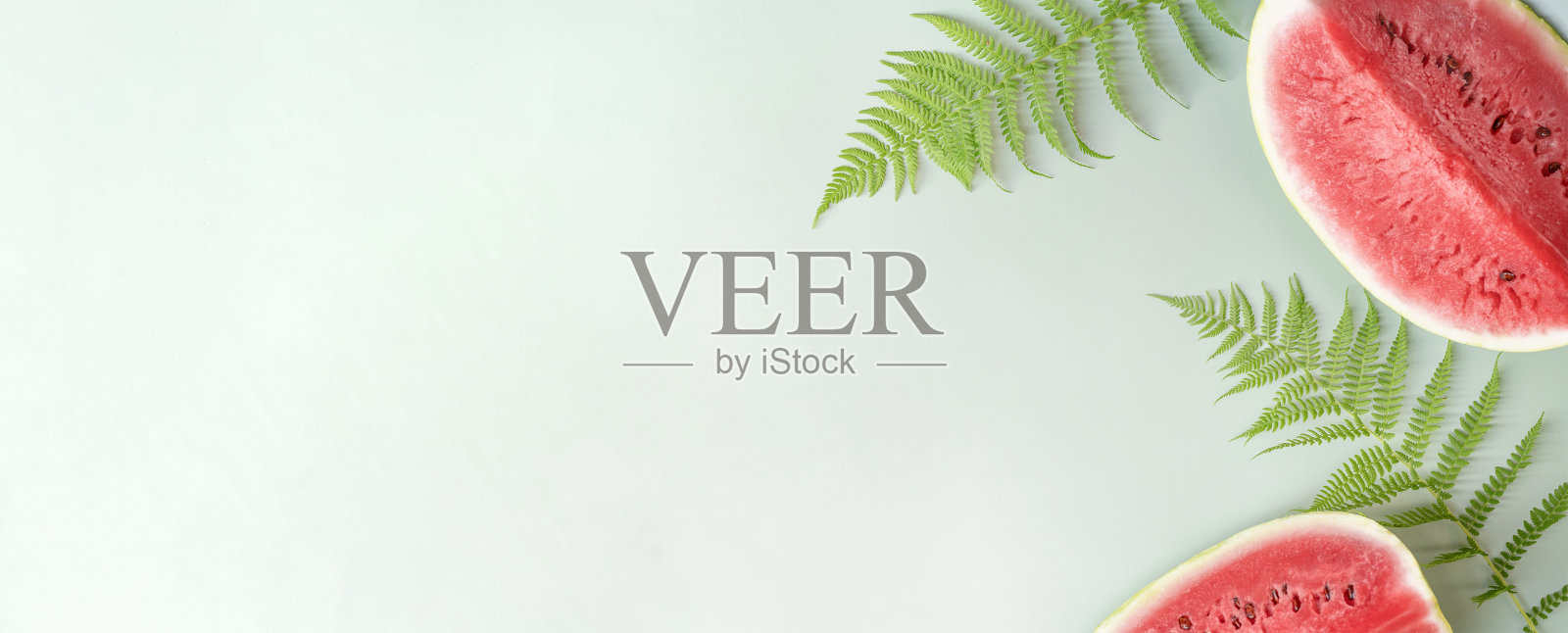 西瓜旗帜。红色西瓜和绿叶蕨类植物在绿色。夏天的背景。本空间照片摄影图片