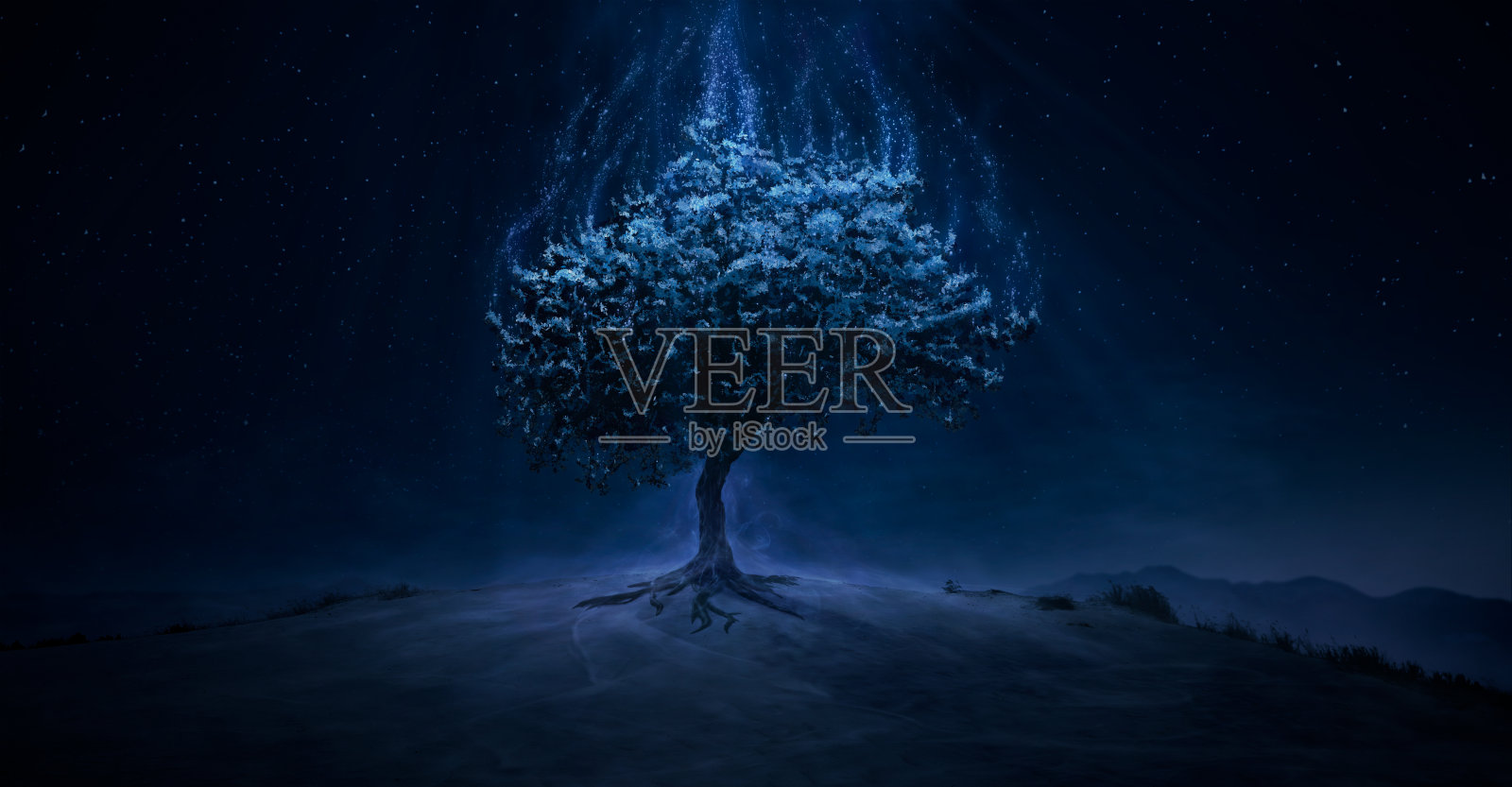 魔法树在山顶上传播魔法照片摄影图片