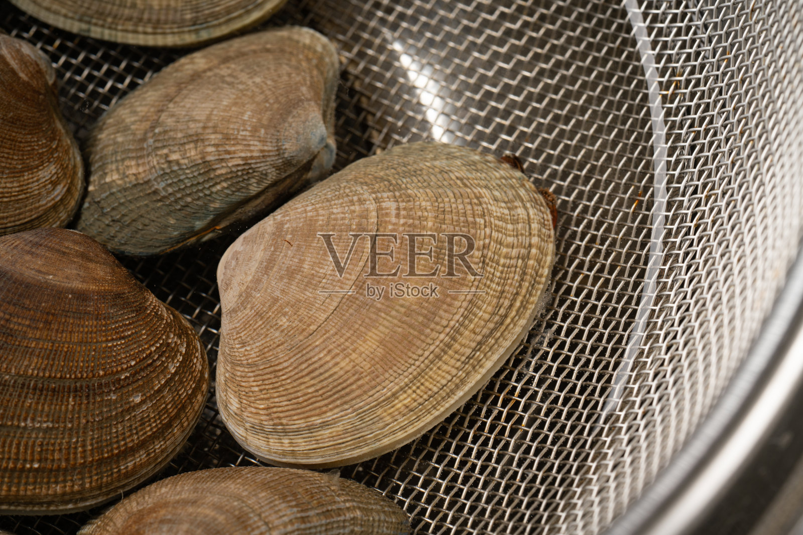 除砂asari蛤照片摄影图片