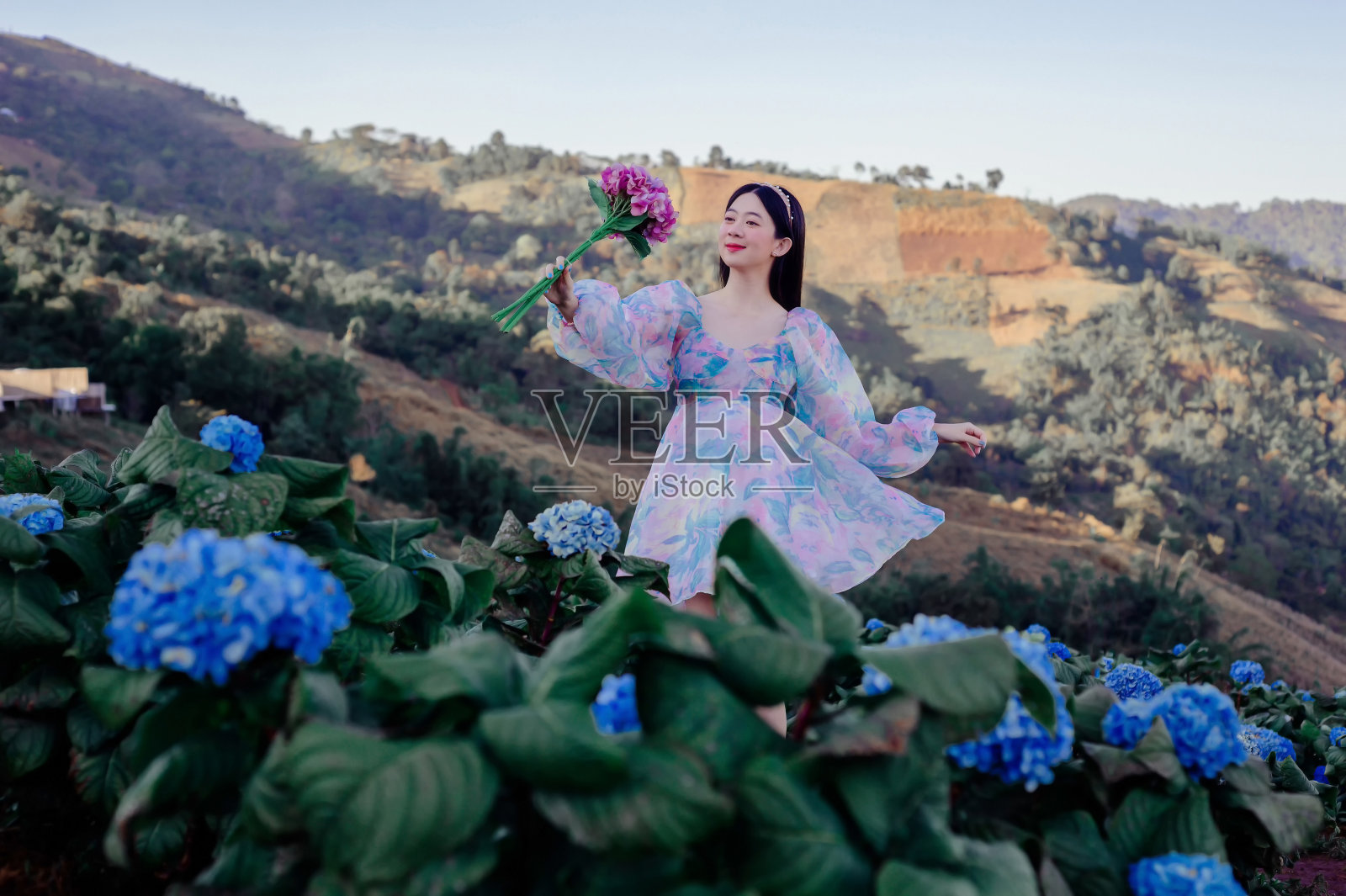 女人在花园照片摄影图片