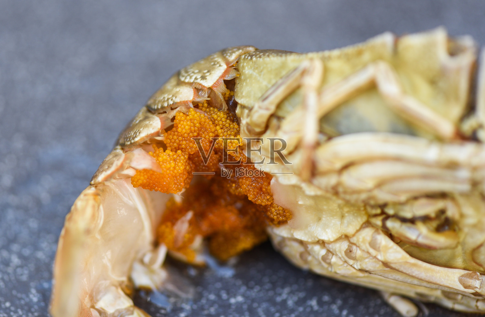 鲜虾蛋，鲜虾生蛋或平头龙虾，多比科照片摄影图片