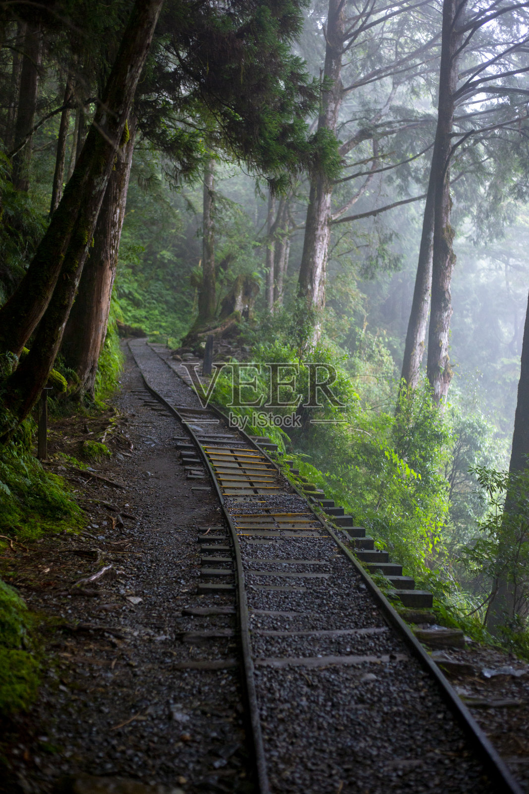 台湾宜兰县太平山、建清老路驰名中外，旅游胜地照片摄影图片