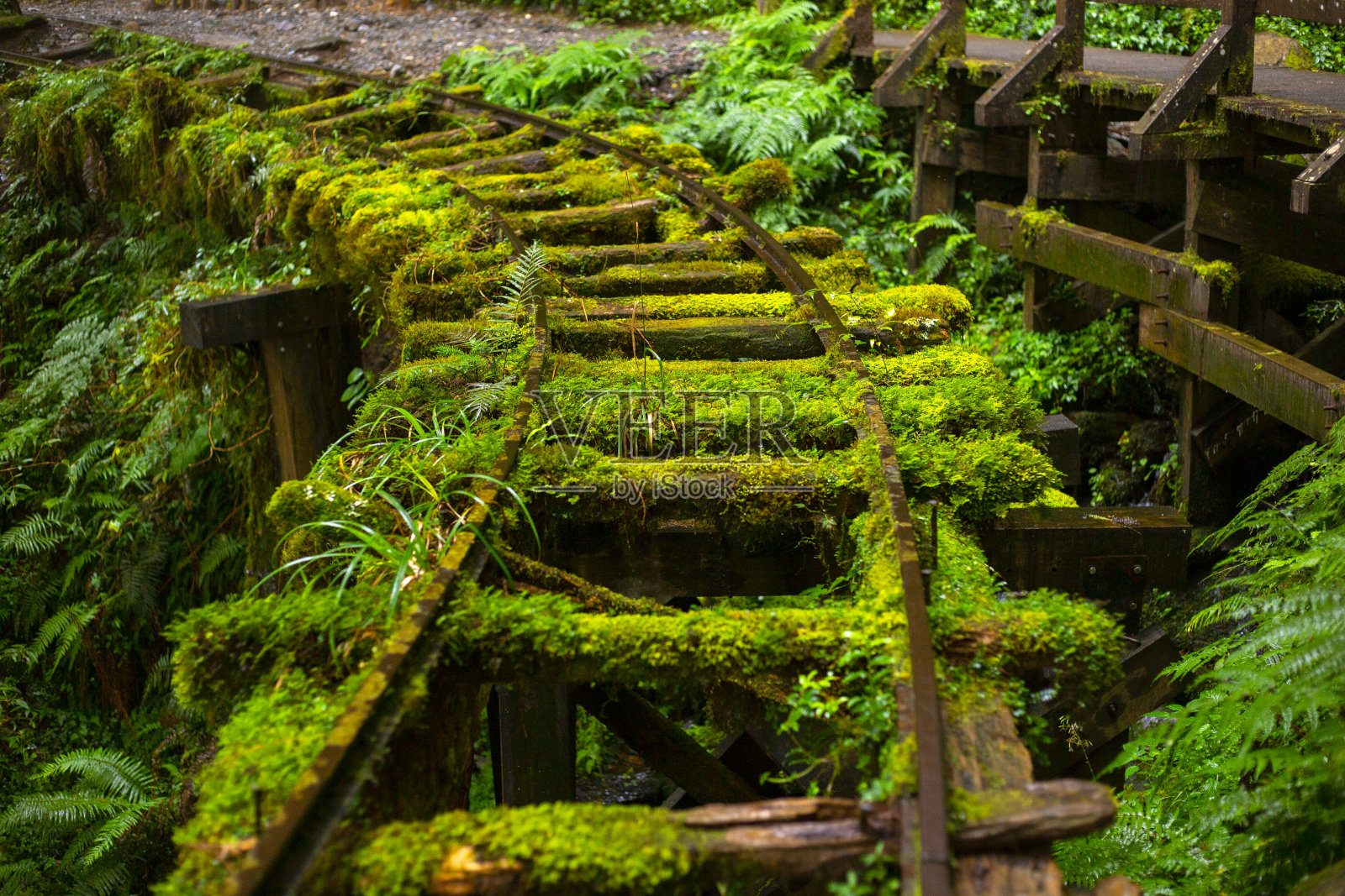 台湾宜兰县太平山、建清老路驰名中外，旅游胜地照片摄影图片