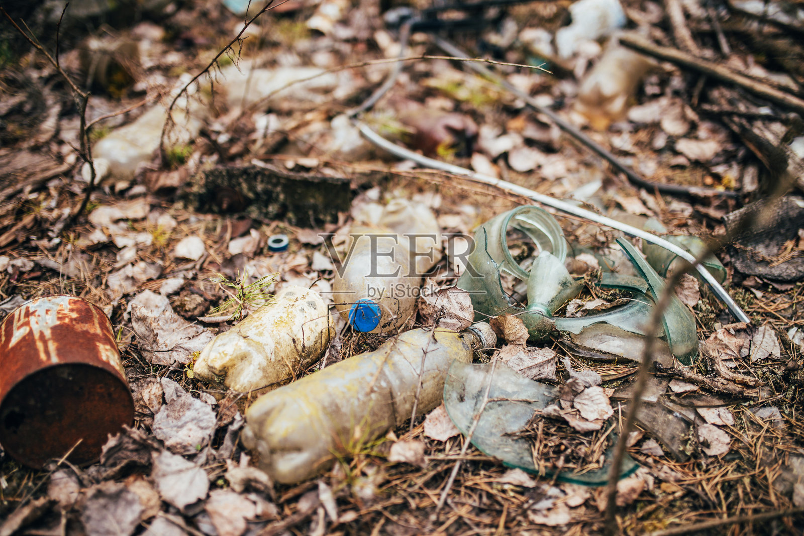 森林里的垃圾照片摄影图片
