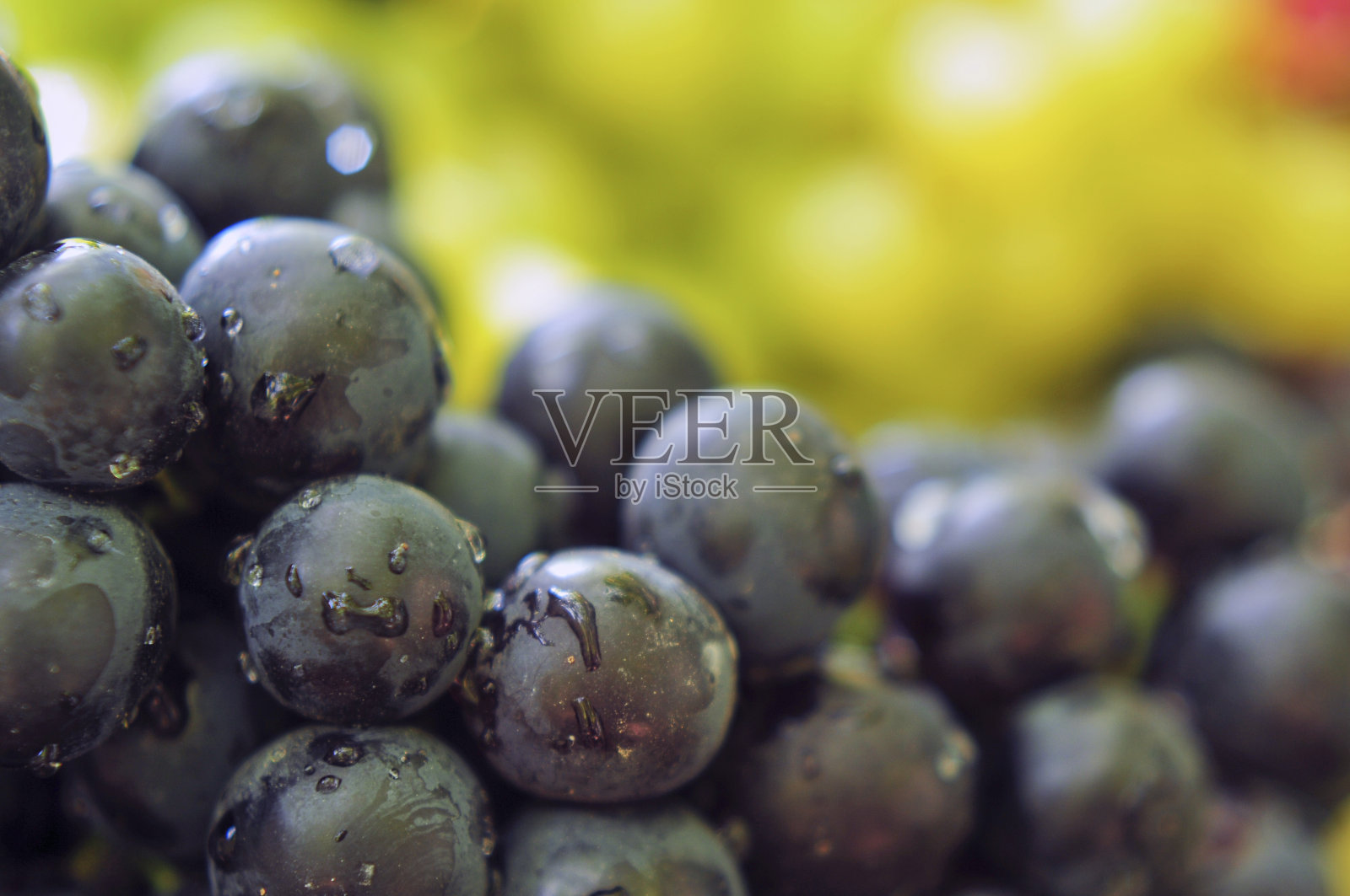 红、白葡萄照片摄影图片